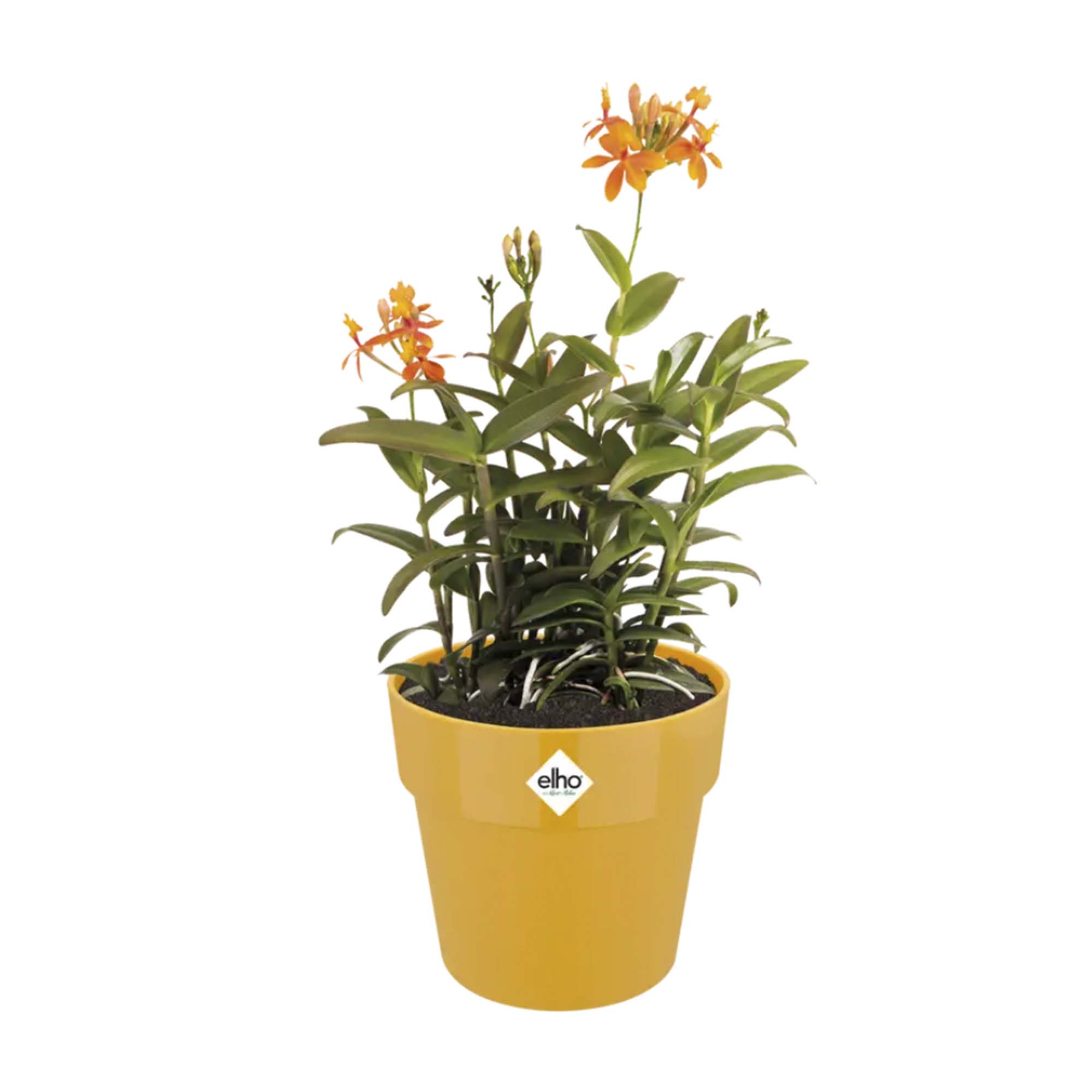 e23f5c66df59226c7a987f261b67b2a1