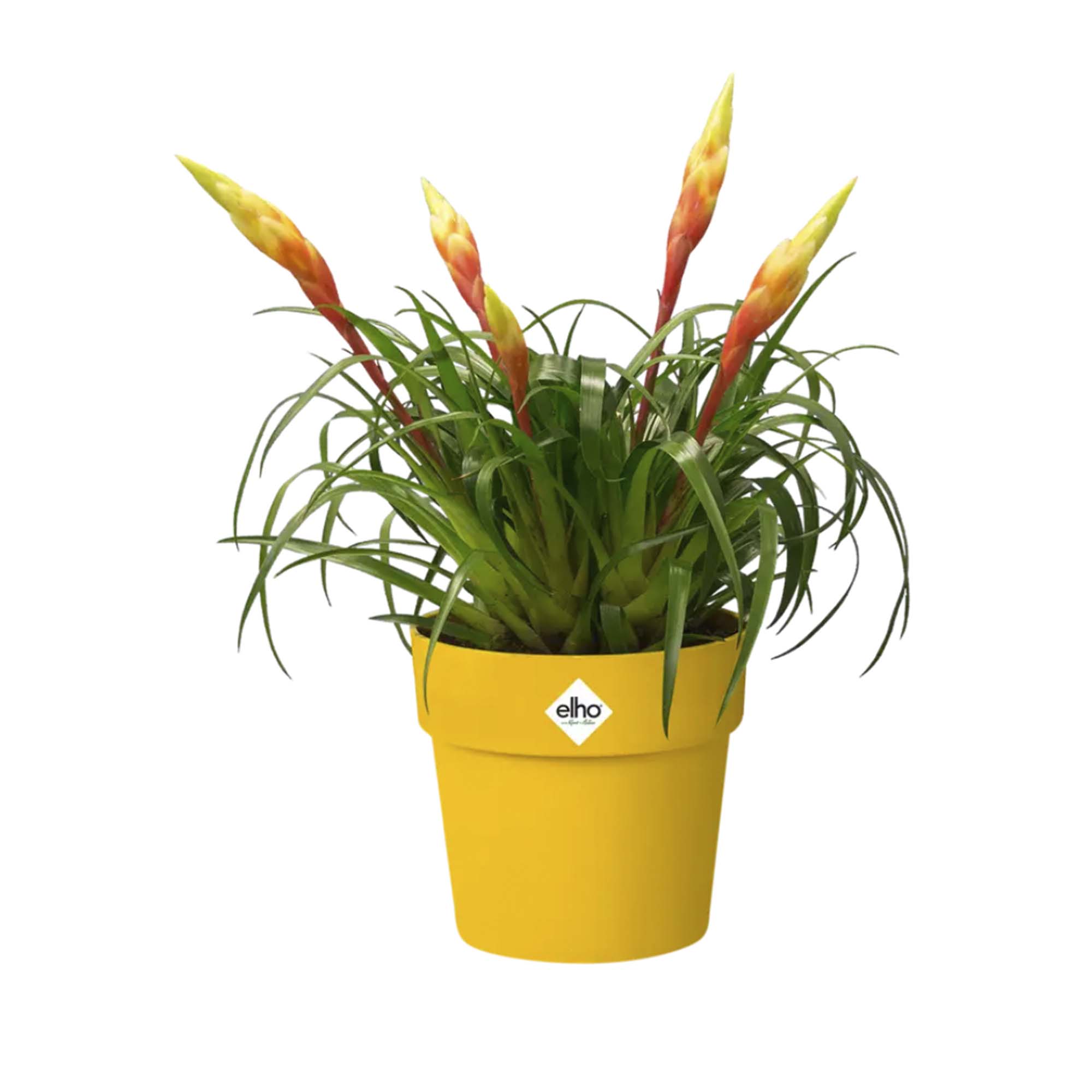 d2bc1d1c6f122344d29ba26d8627cbc5