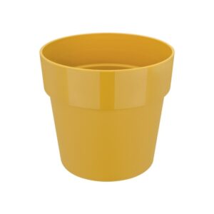 649f96431abb284e5d16a9b8bae257ca