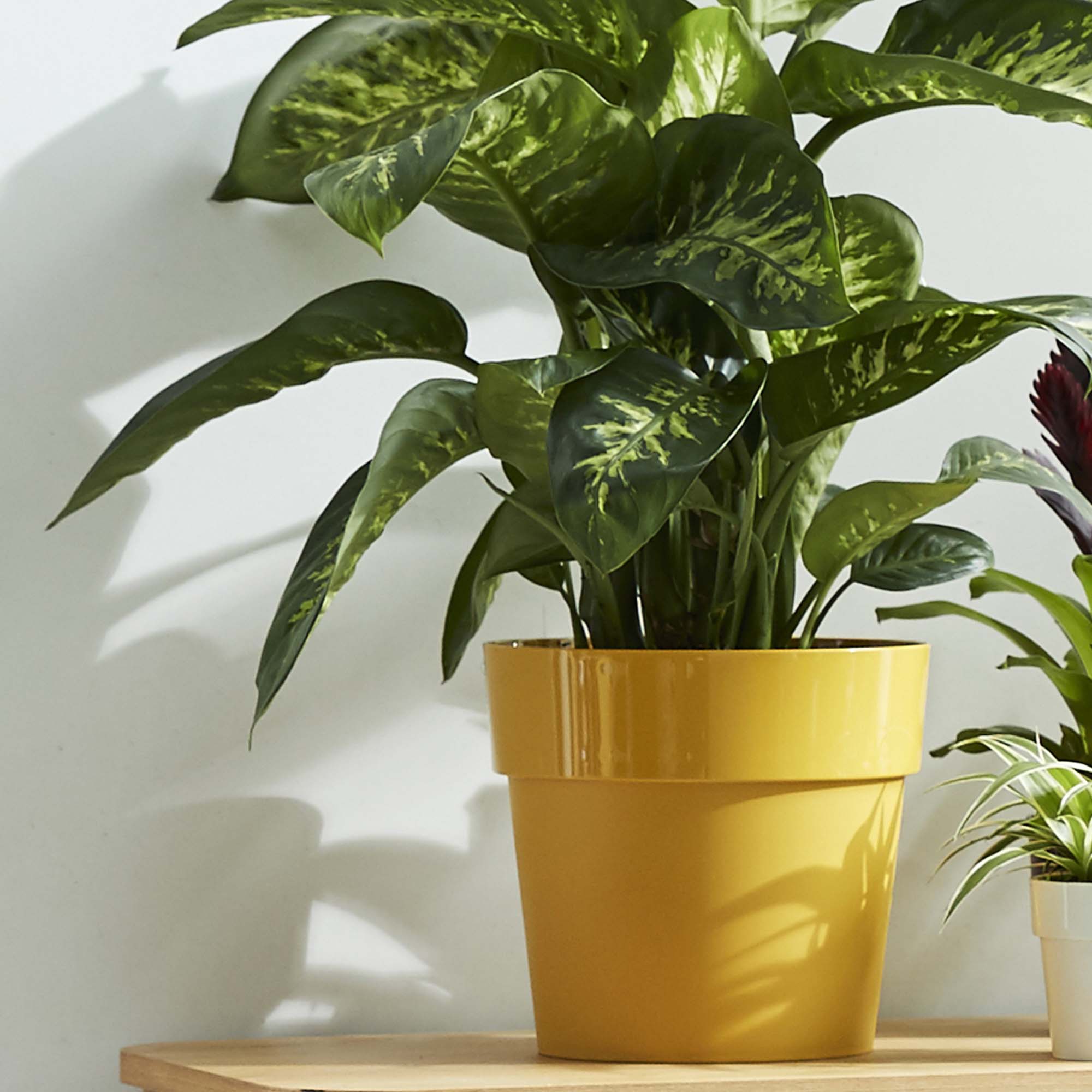 74de74093fe7010a7ac756725afe2208