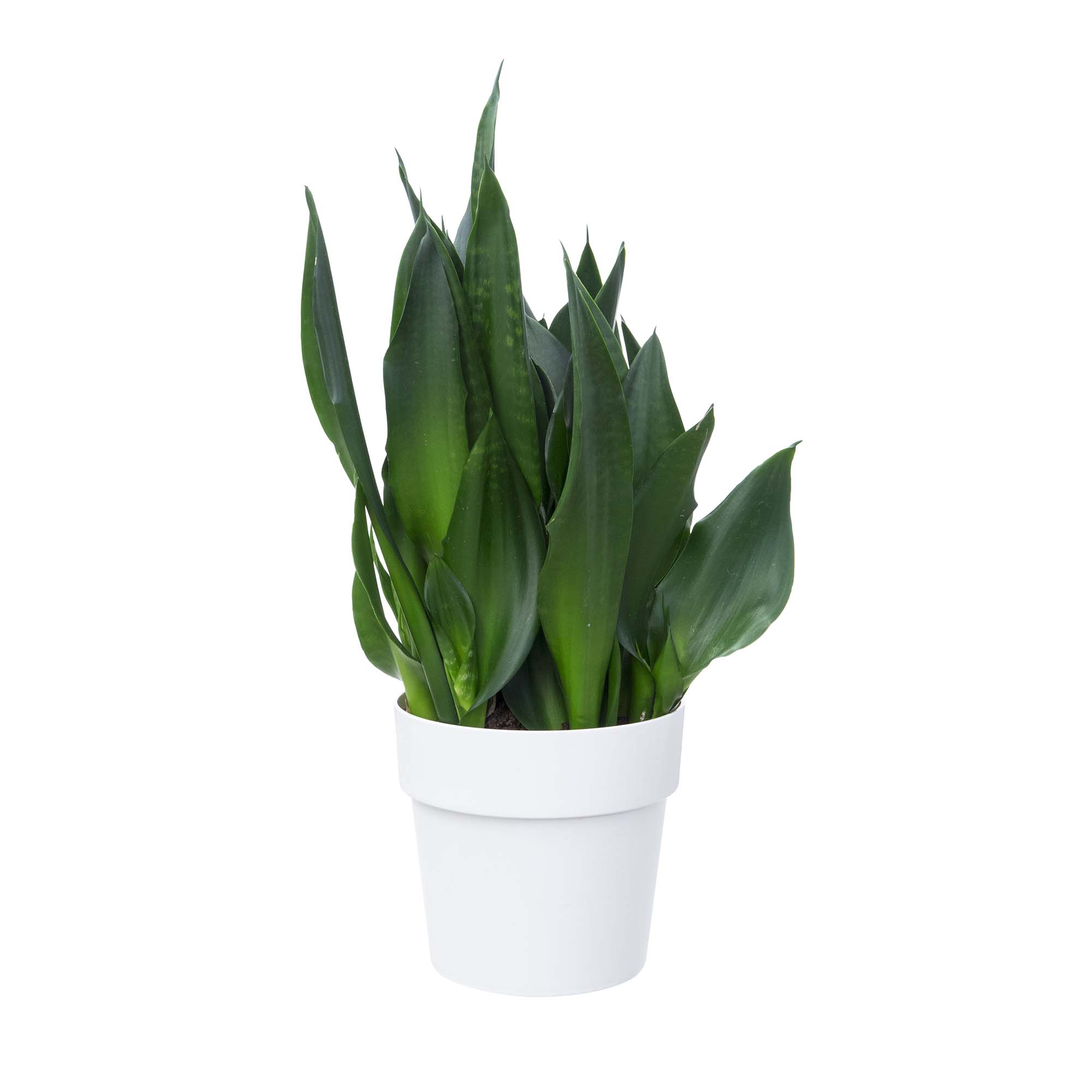 ebb5e4ca3fc95354dbbfe4f6360a0e86