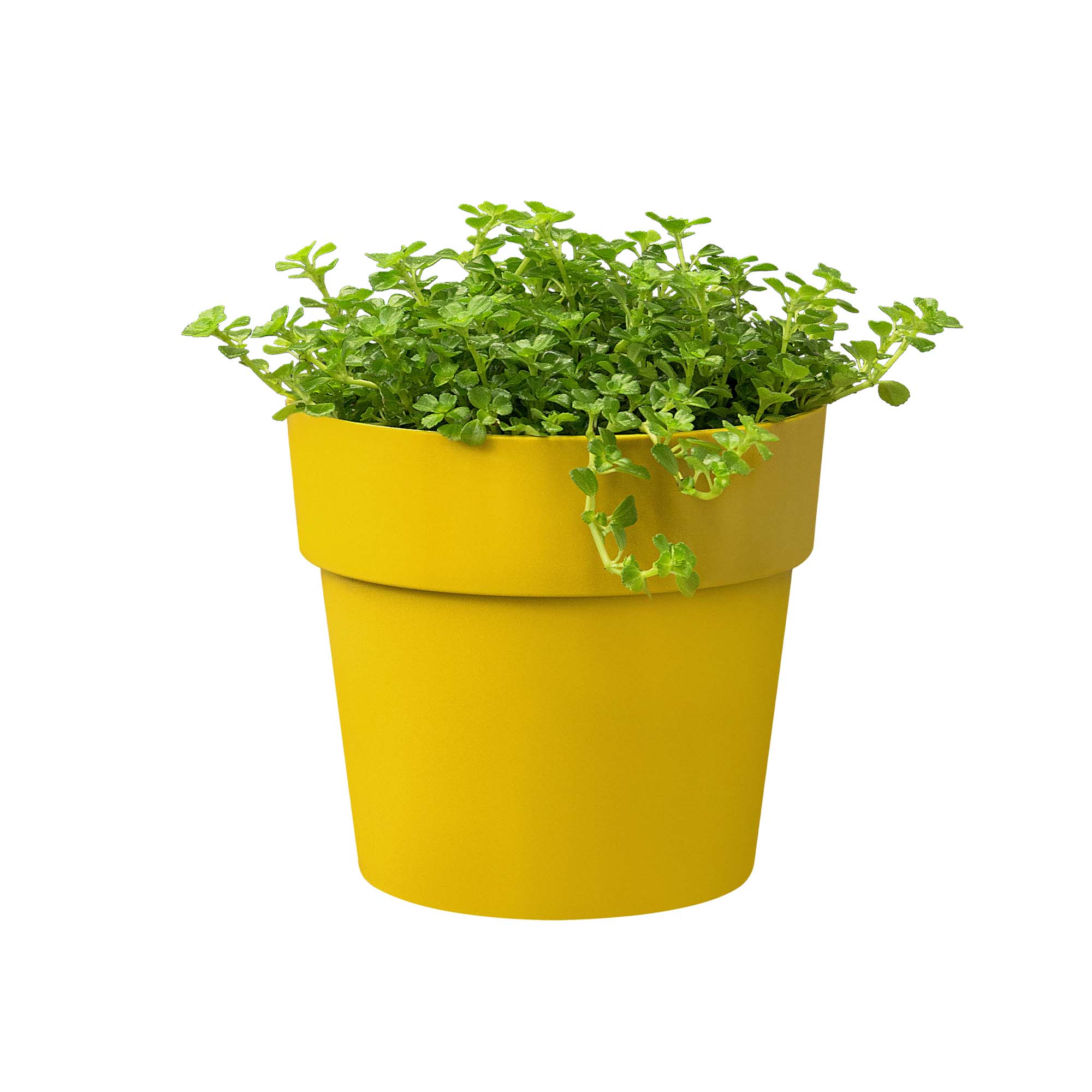 937634b512c9dd15a3962d779ef447b8