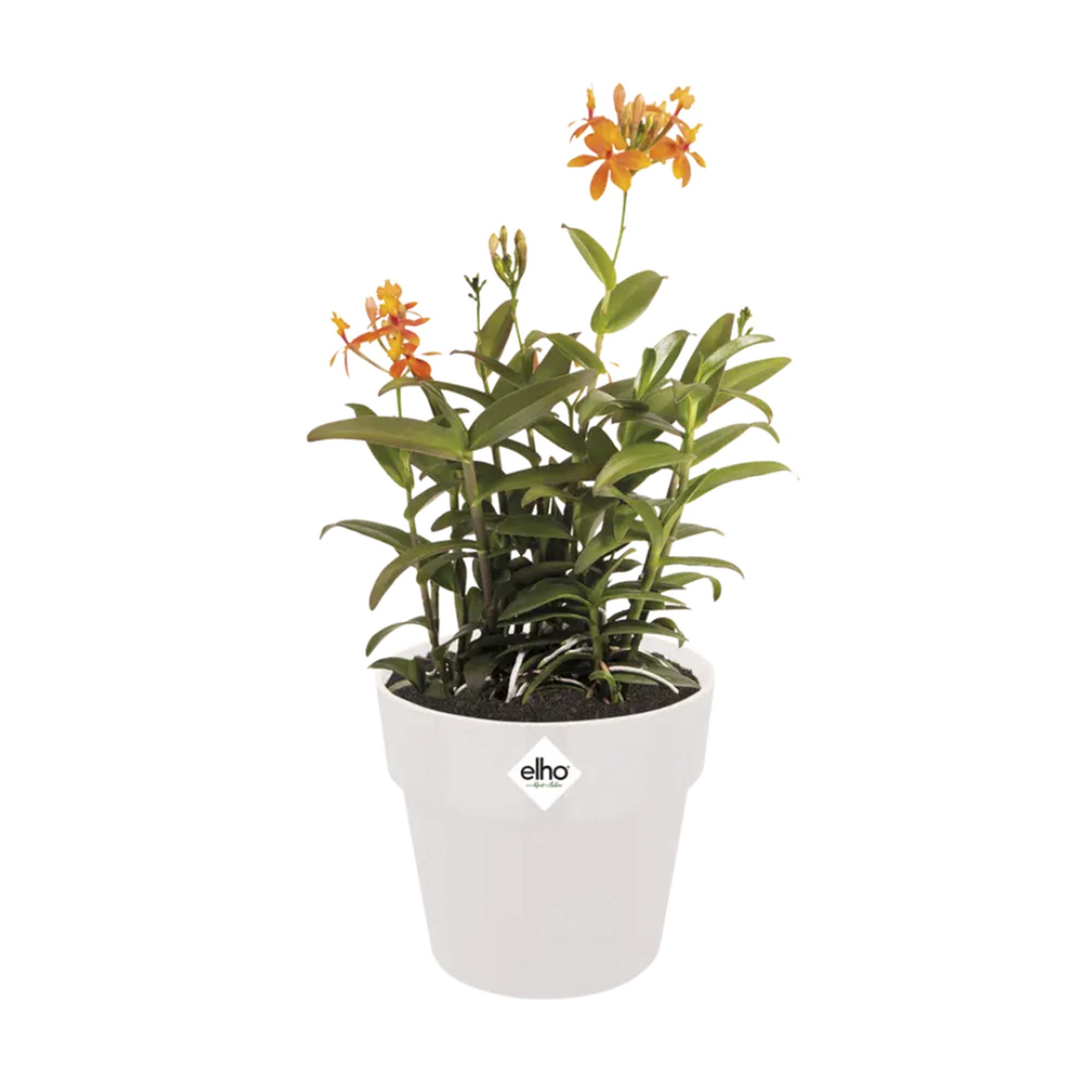 fa1682cec9c9fc0896bdb43a74046af0