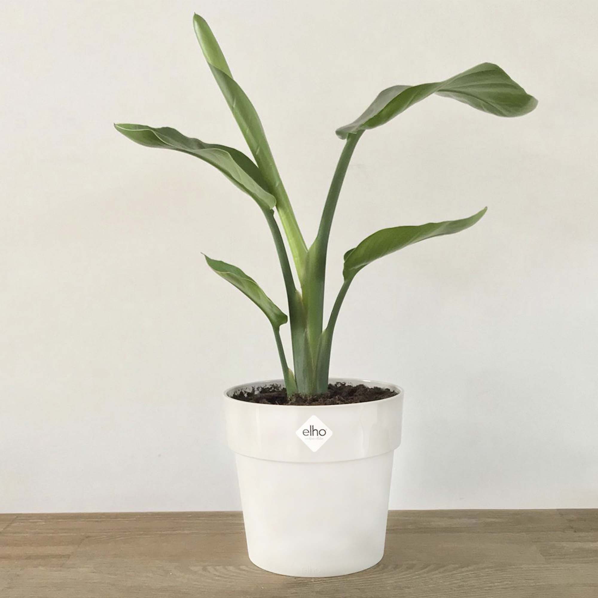 59162c585a20c4b2ffe29e75b156d971