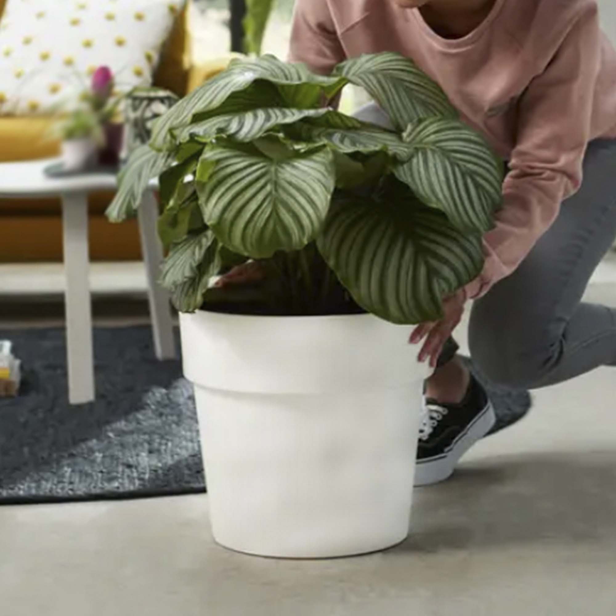 99096ae2962a261aac09062b3be1803c