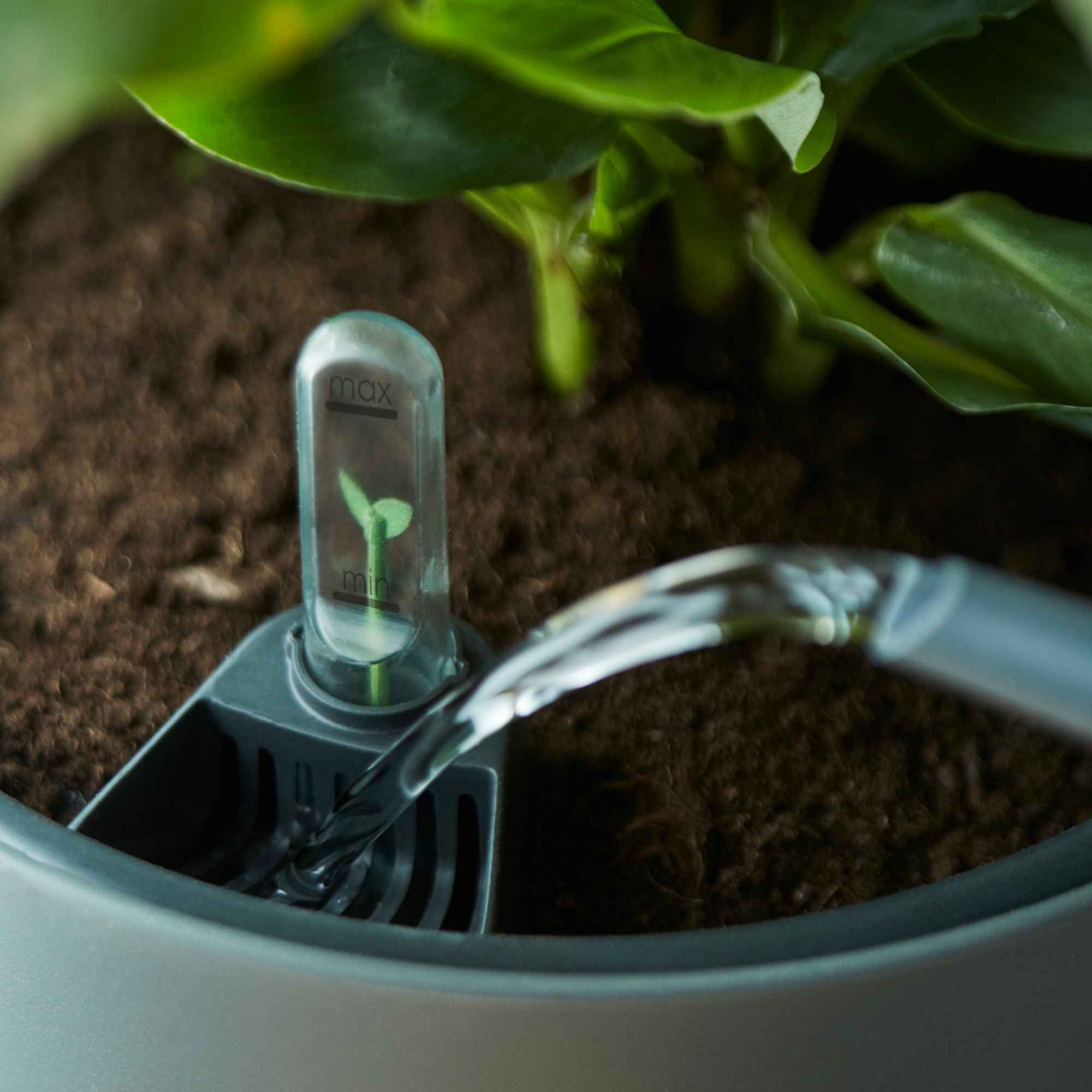 8cd60fd03ebdfd72a7e726ef68c3b9c1