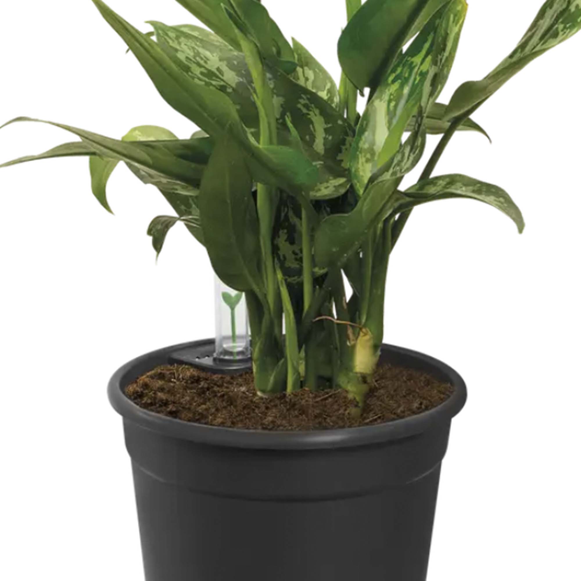 15a6d3f3d46c49131c6258b5e67a3d0f