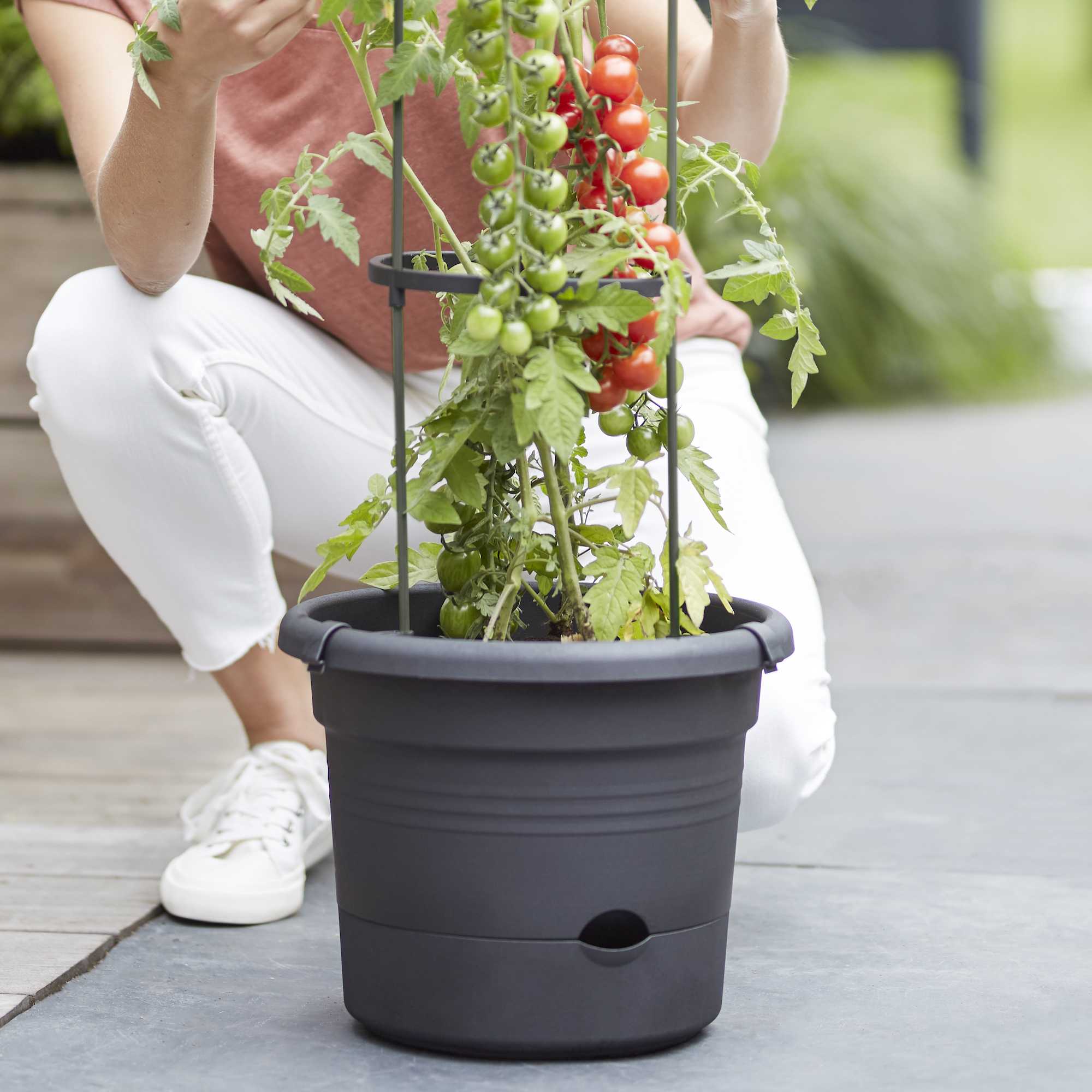 33ff9db6154c46d0788ff85c3b93b632