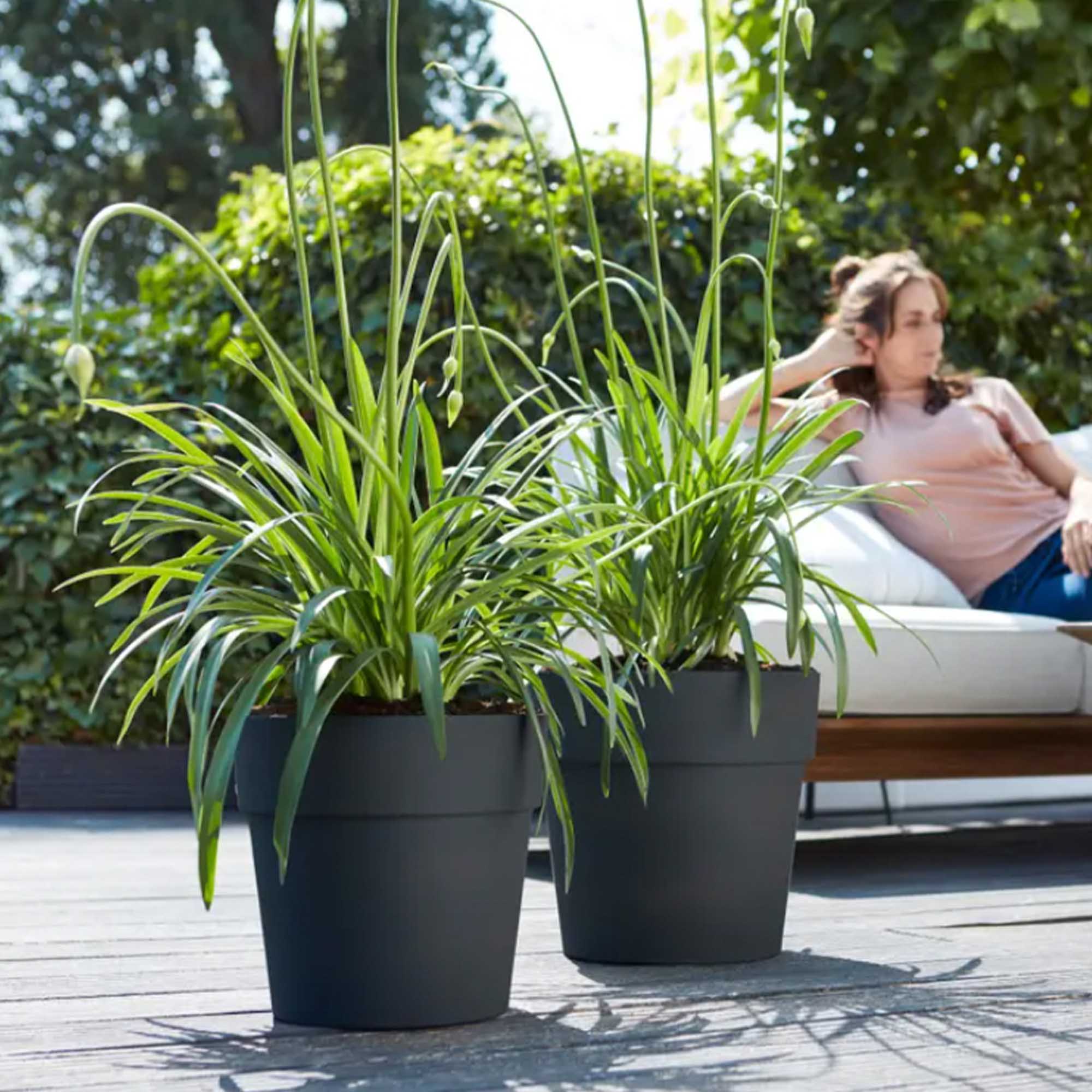 6d241a9eacafbab14cc302029723def9