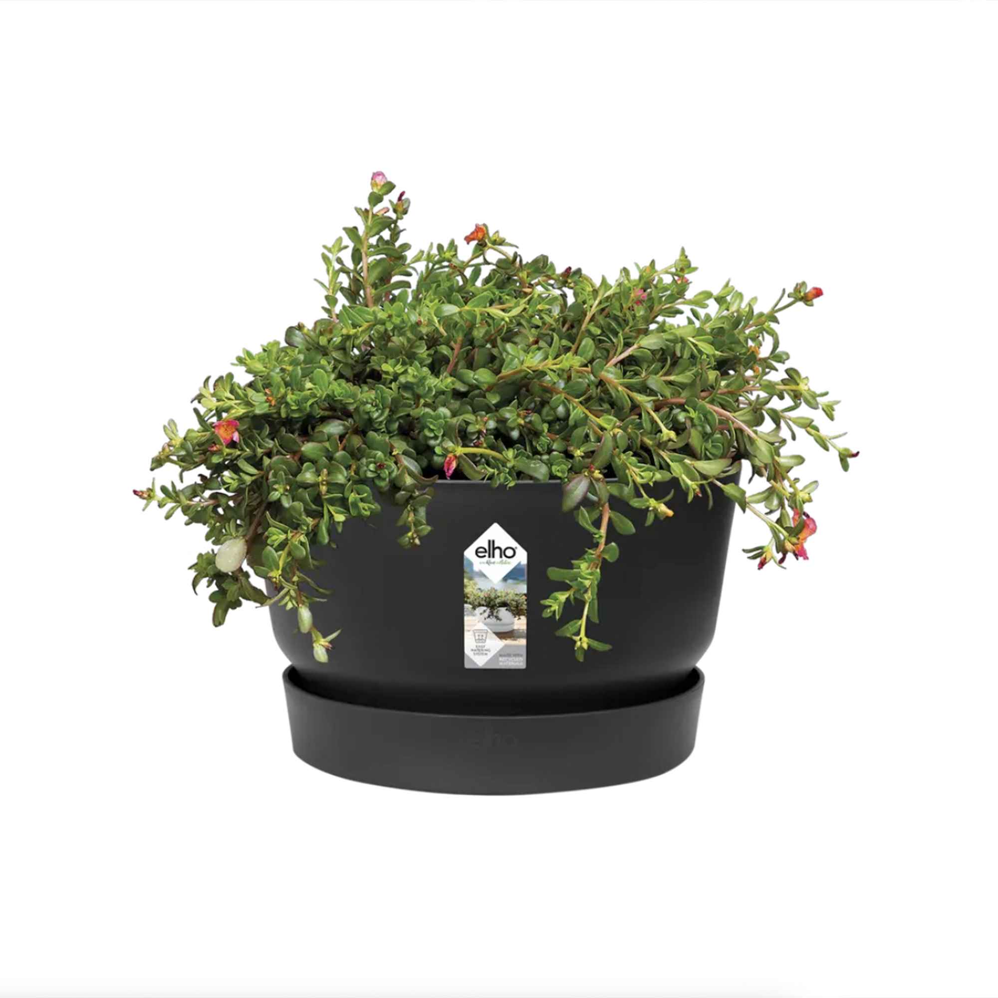 f9d4b28f47dd0850635282fc8ebaf7fb