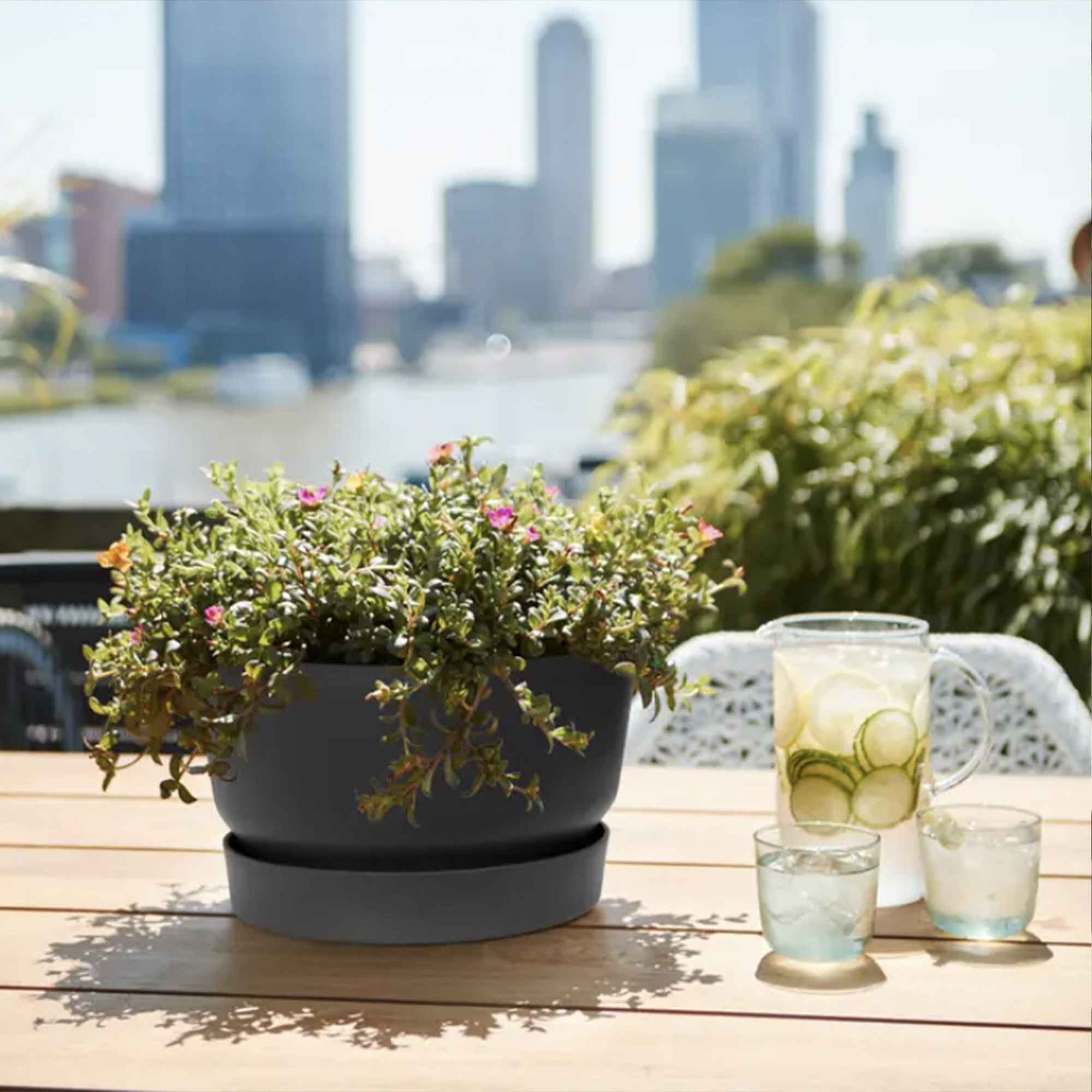 6470c565643e7dff4e6c52f2571dcfe3