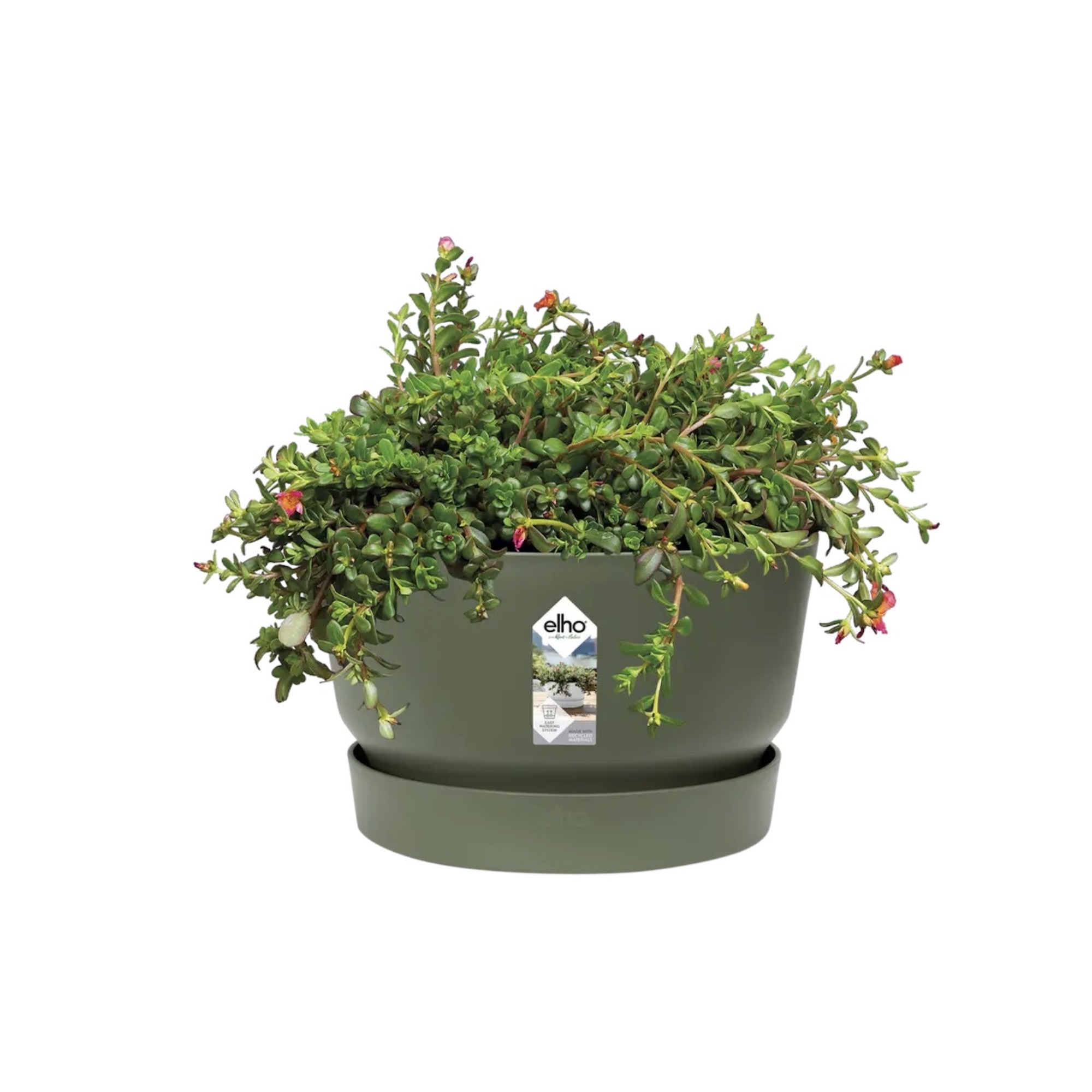 7ca6a57afd44b32da996ac64c5026462