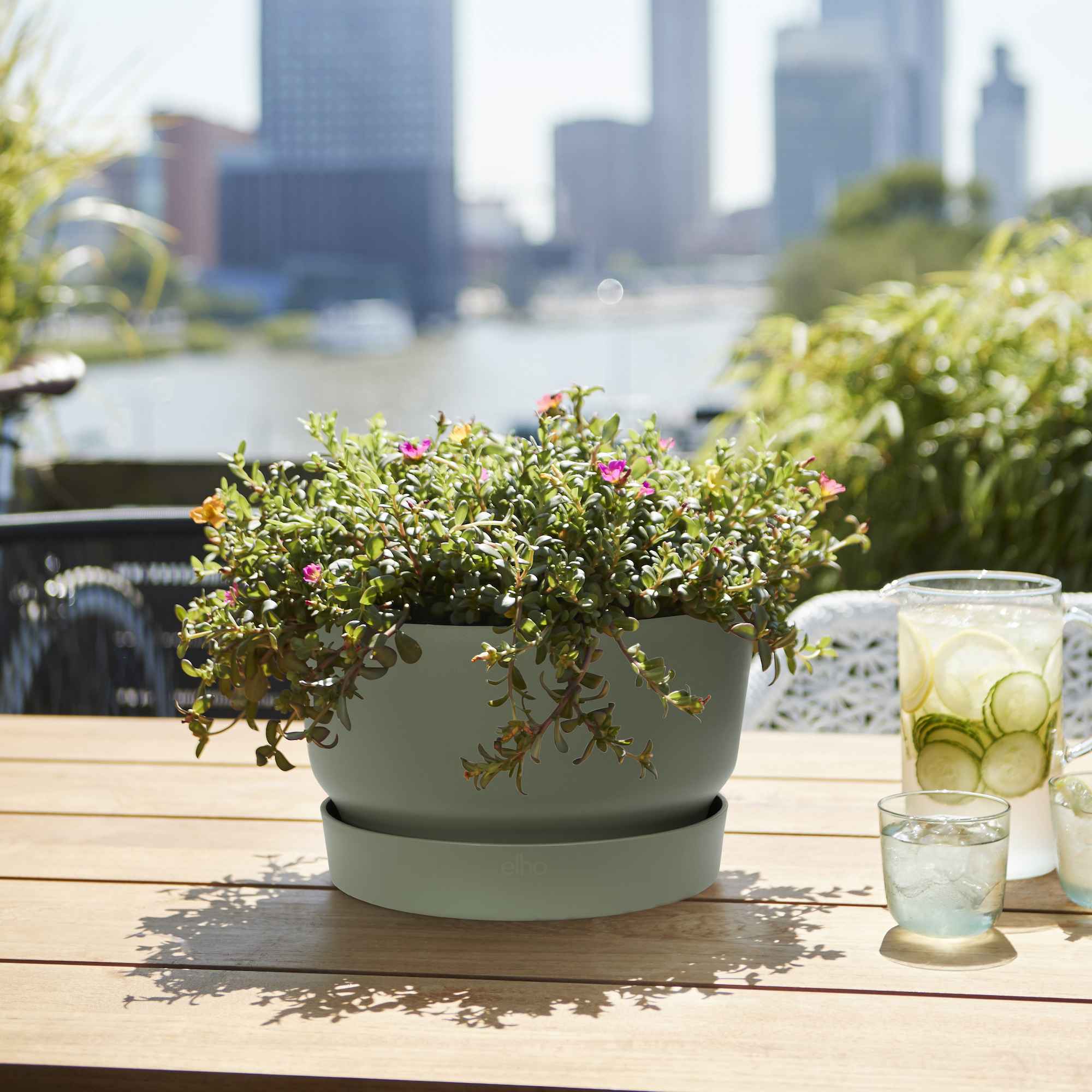 ea1d3de6b438c32b5138c4794233a780