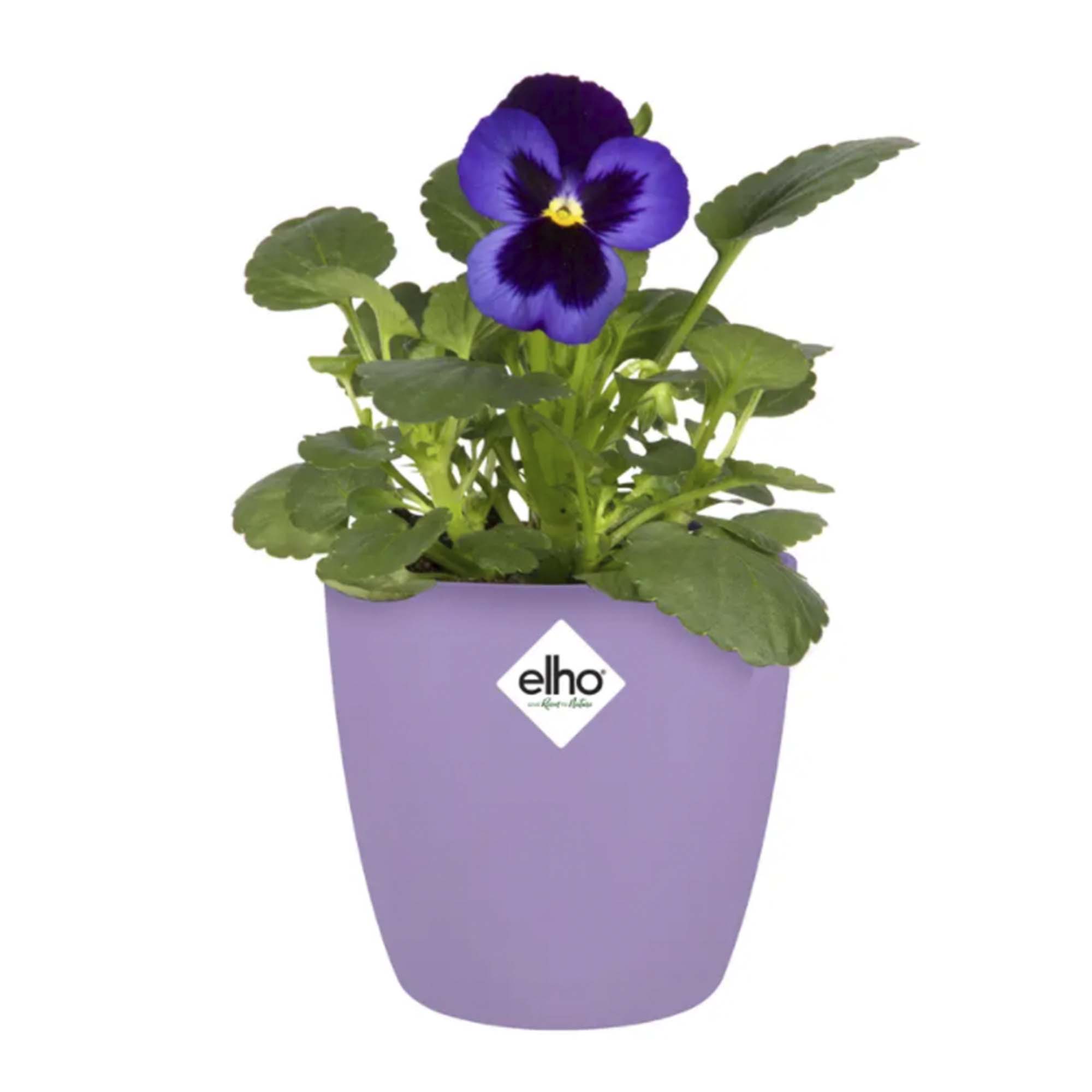 48f9fd281a03059a1b42b9e387301702