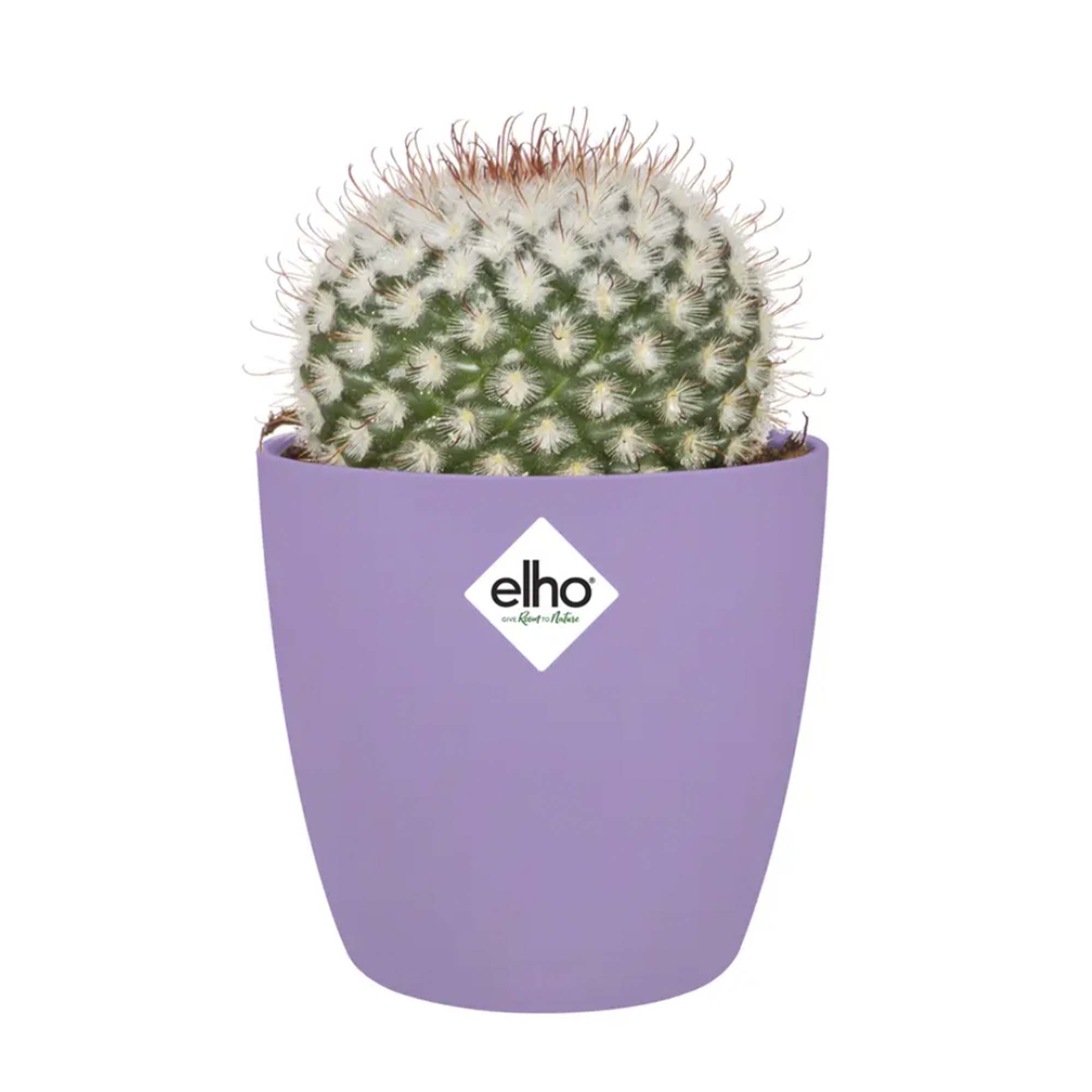 7eea87d712c57bdf92b207b1ffb08a1f