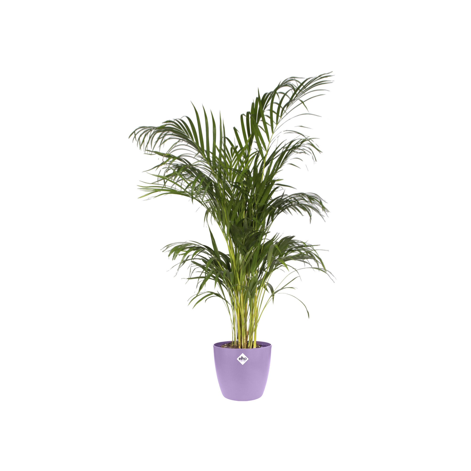 e18cba2236013de18dba87531c6d6ab1