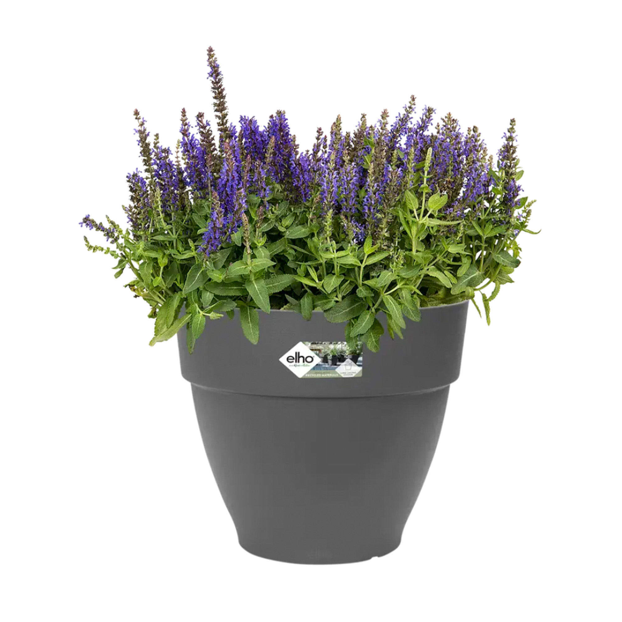 2f4149f7f2cabe8a8339c312ec1c2008