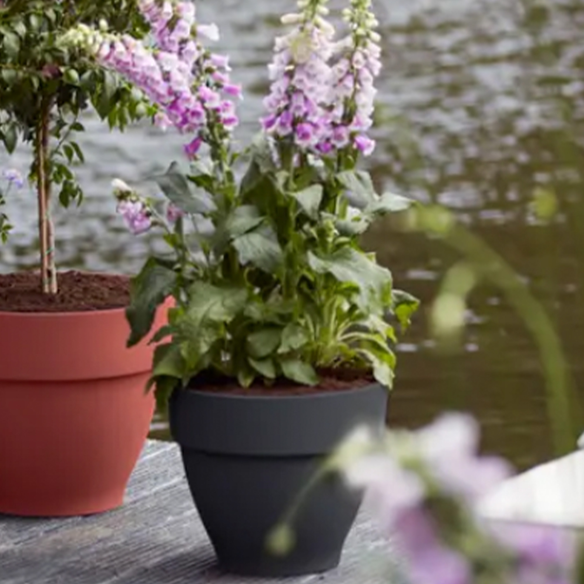 693efd3c13393e8fc9cb2bd8b02cedbb