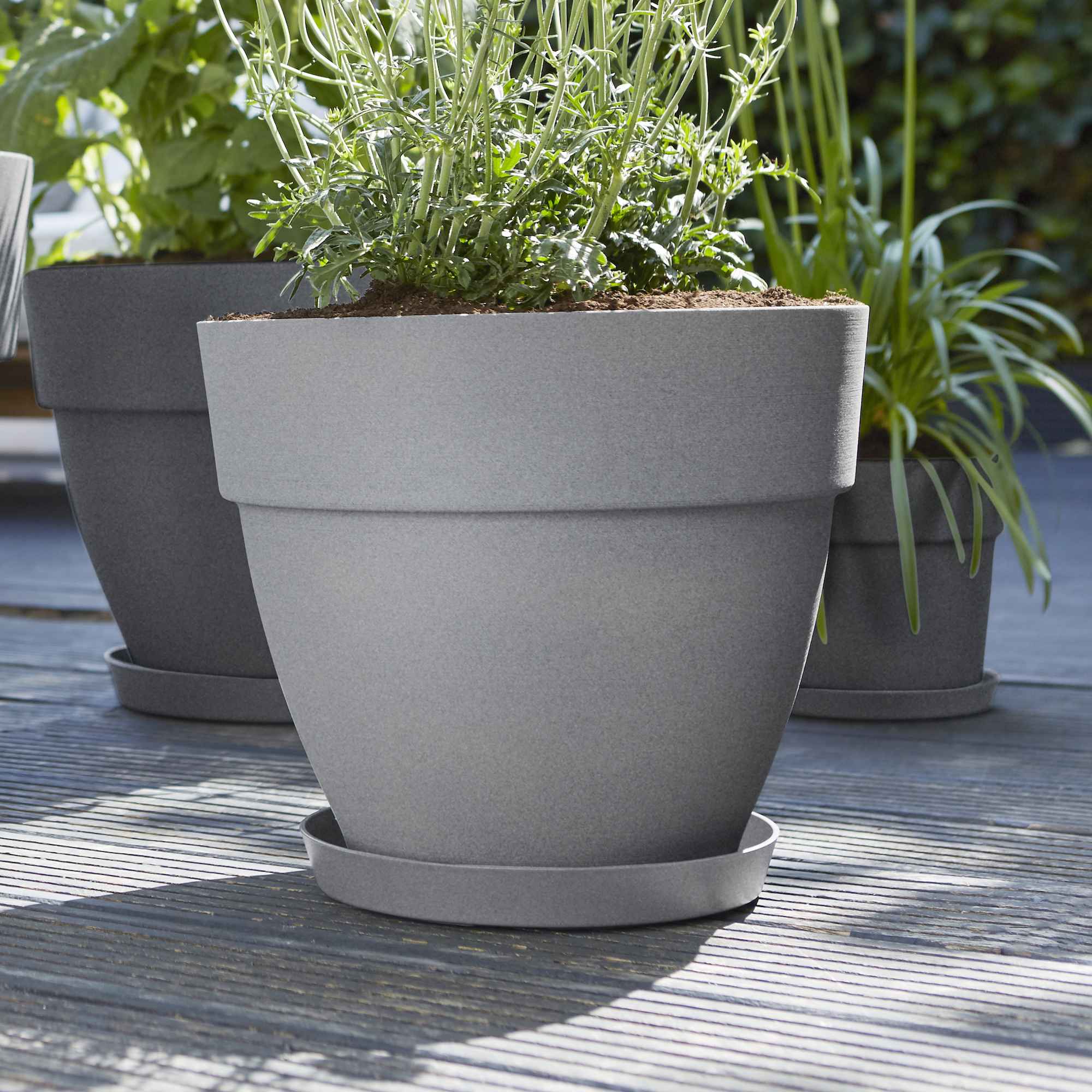 efdc7893aa0e9eda596c5e25eb58974a