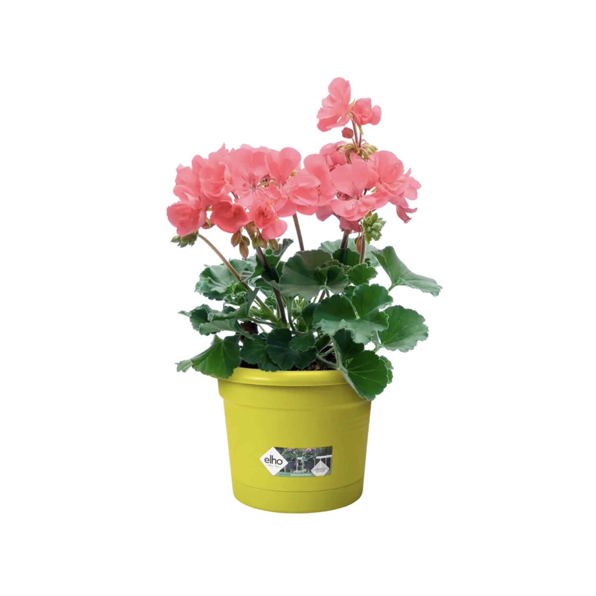 4f75a68a09711897fecf71552b71be54