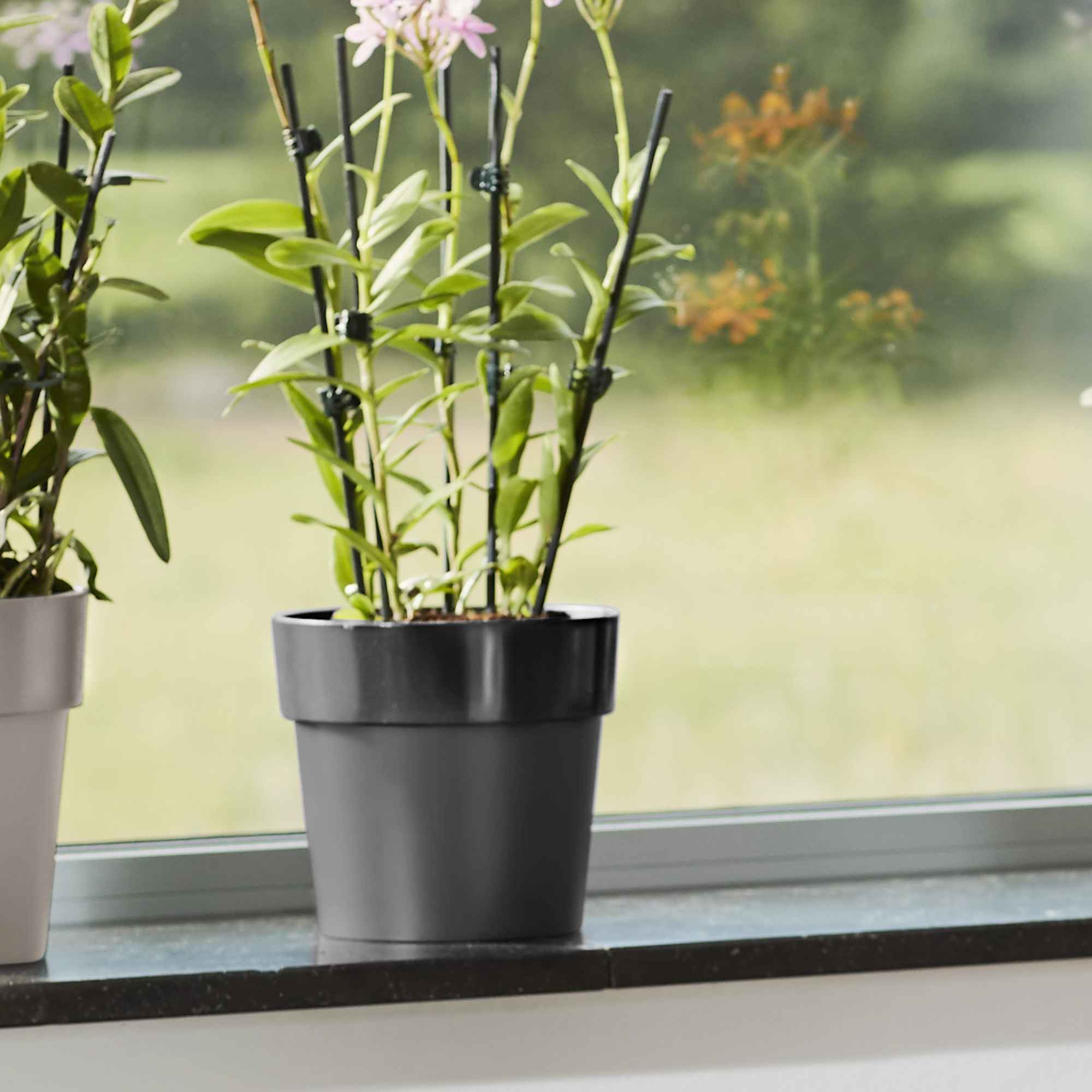 a0feab5015c39749ecec3e4258a5035f