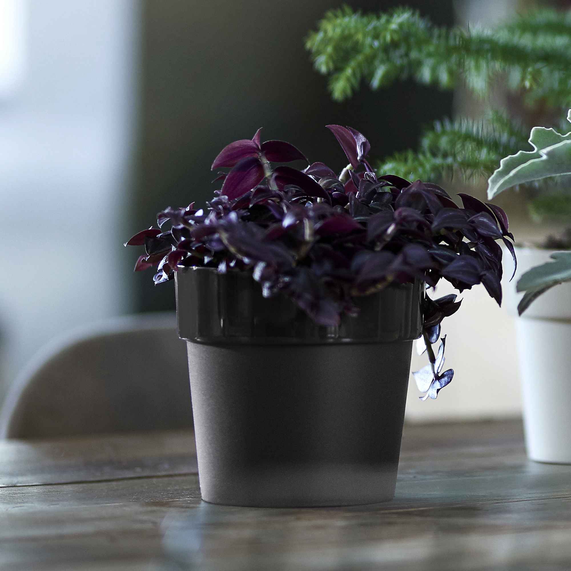 b9f515f94a2c59fbb99376f0426e2f6e