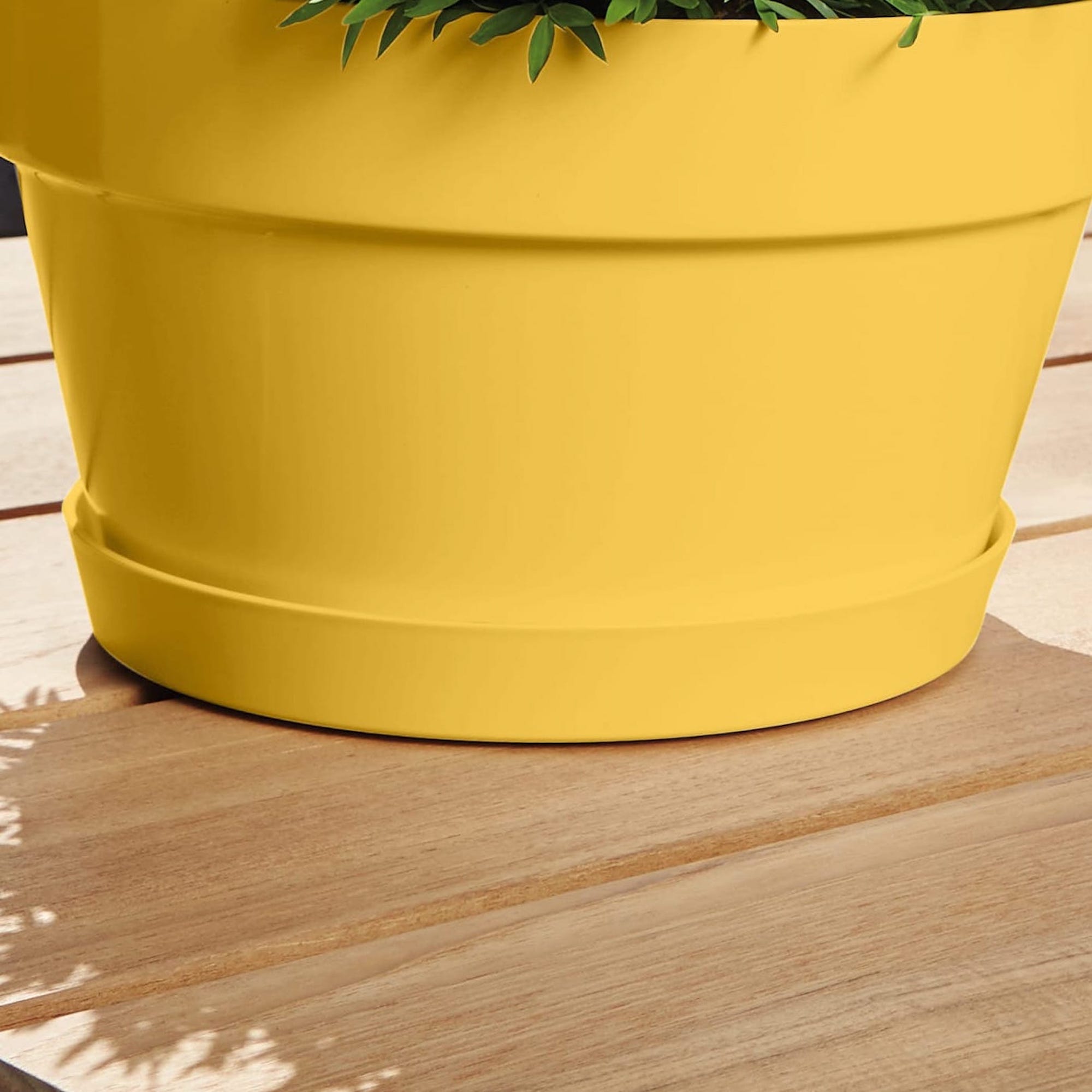 445949039038883522ef289e9a12f455