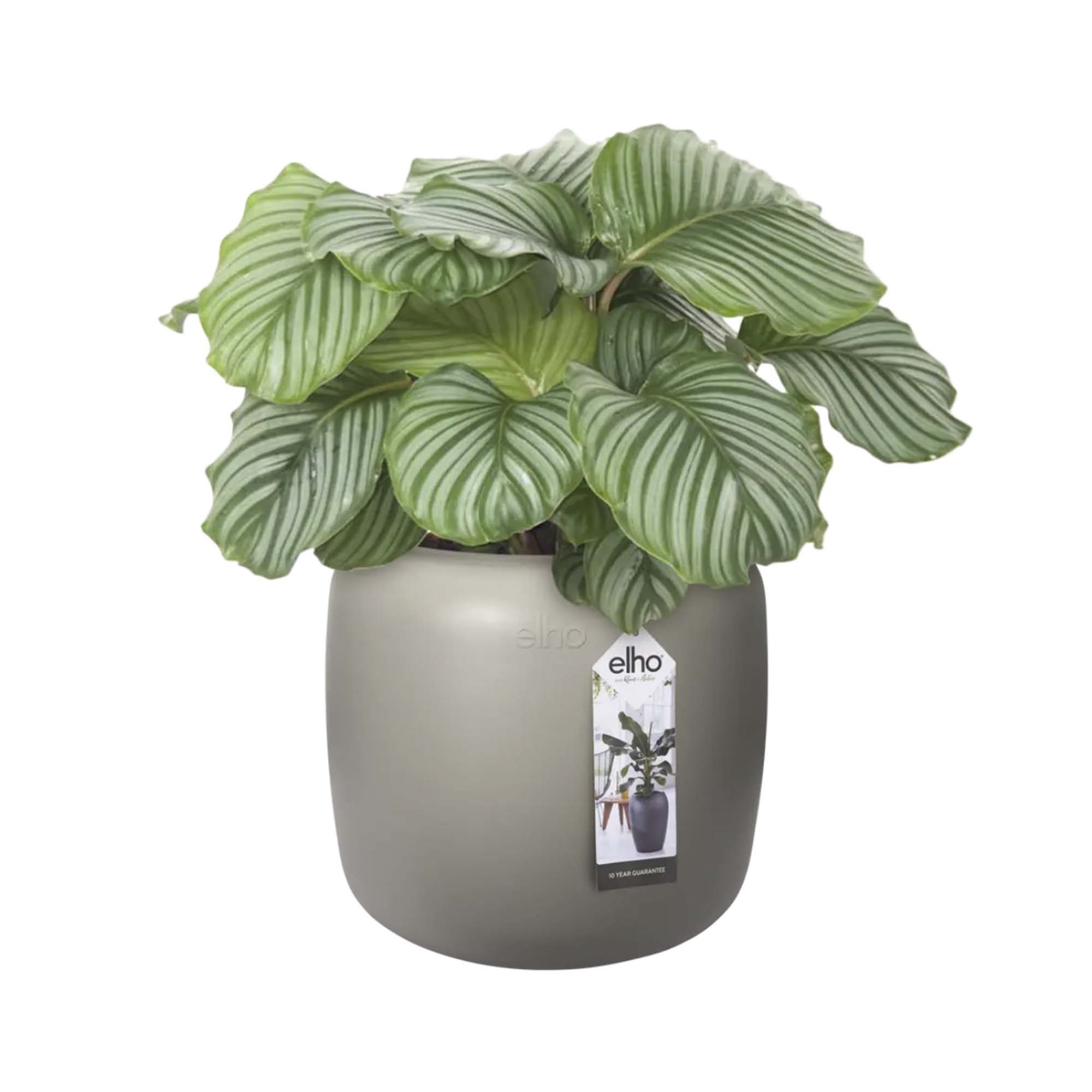 61c5aac936a87b8d13fcf8fa3da2afd0