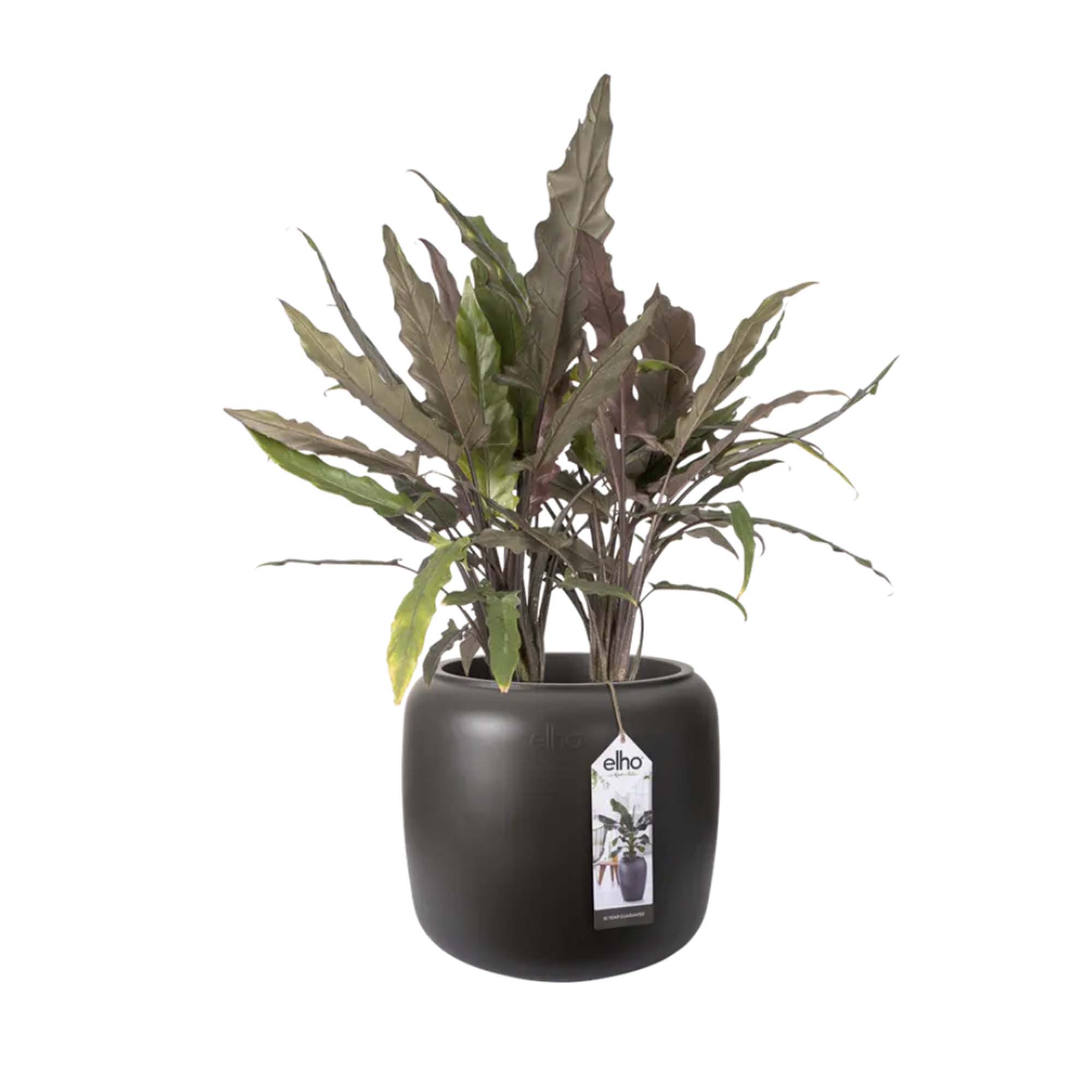 4645e61ede8f71a542e8fdcb89921b44