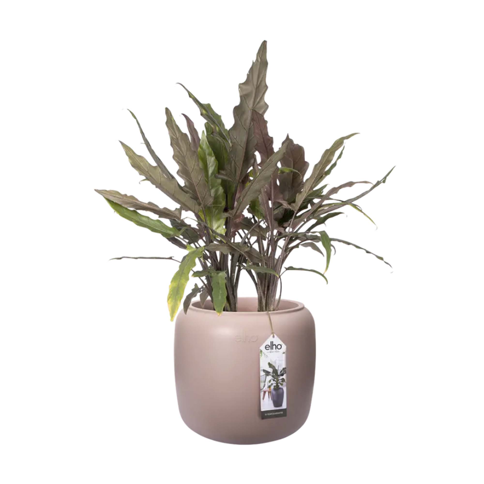 879692ea009d1e5aa950728b54c8d23b