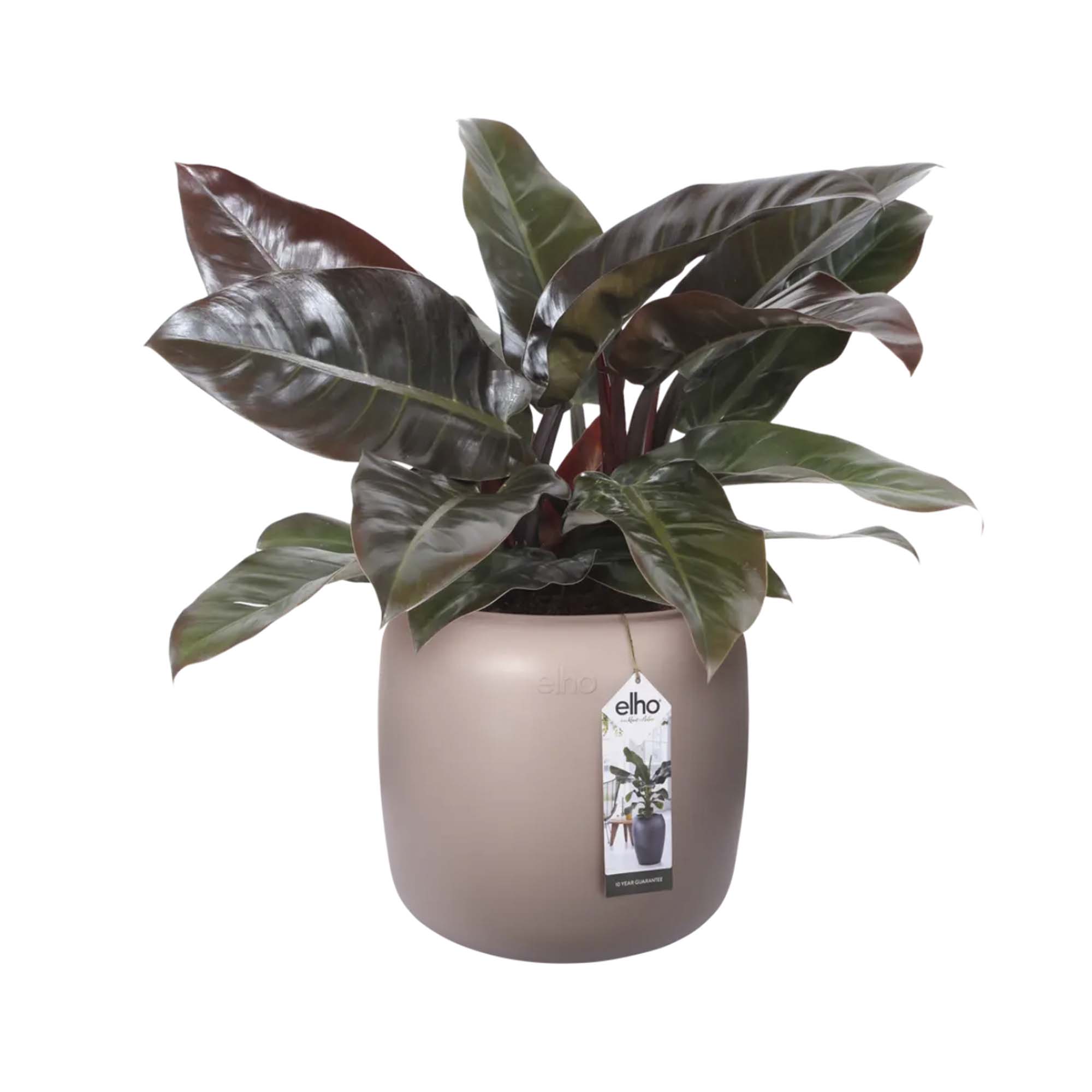 915ac00f15bbed07840dbf1a325effe8