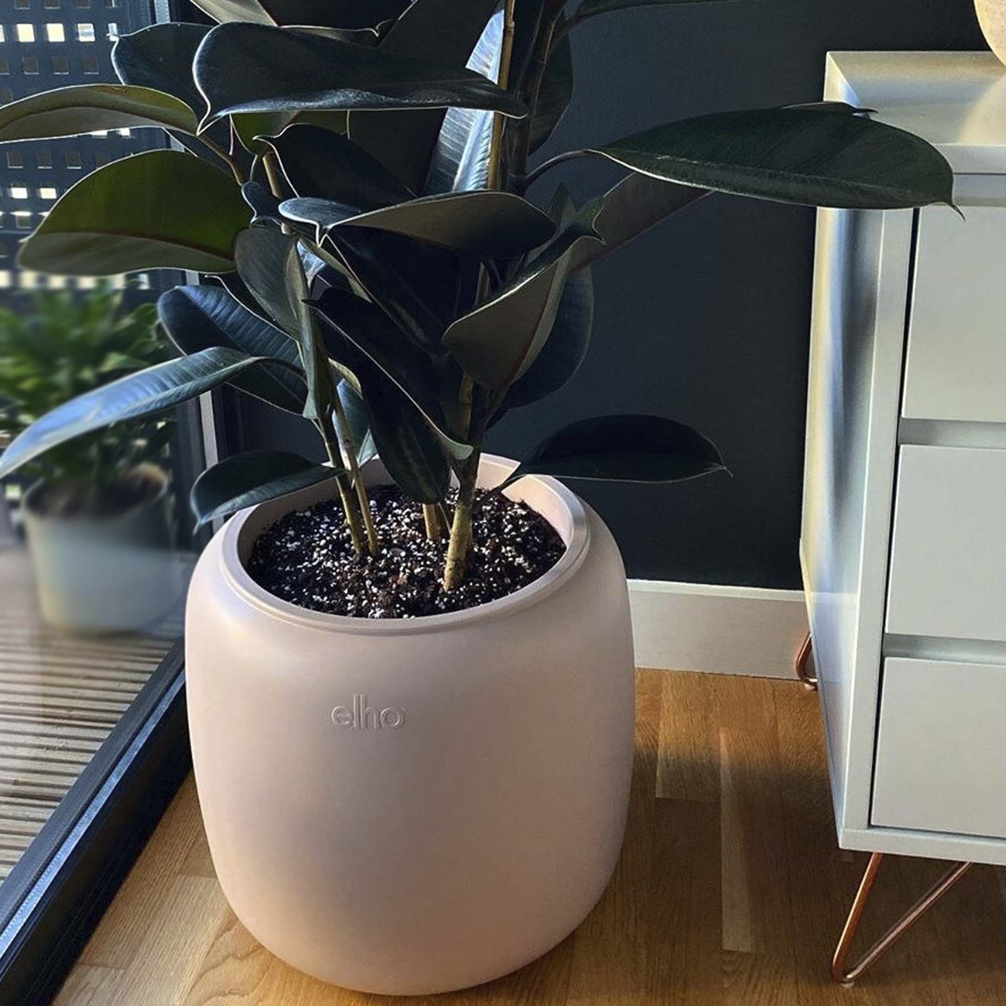 e4bed75438c44f3ebcaa73e9eb79b447