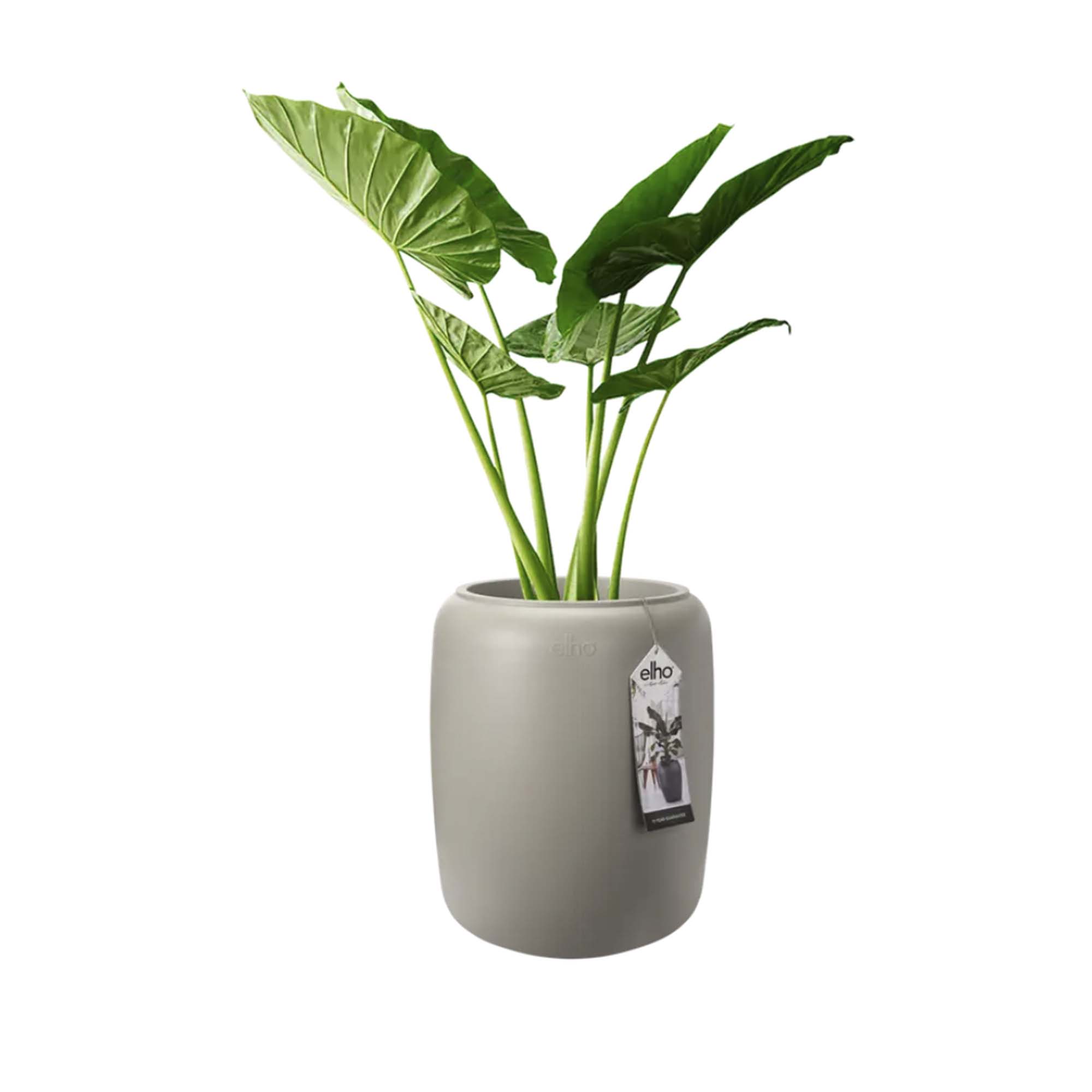 df6f5b2dc0586556089b215a942f7326