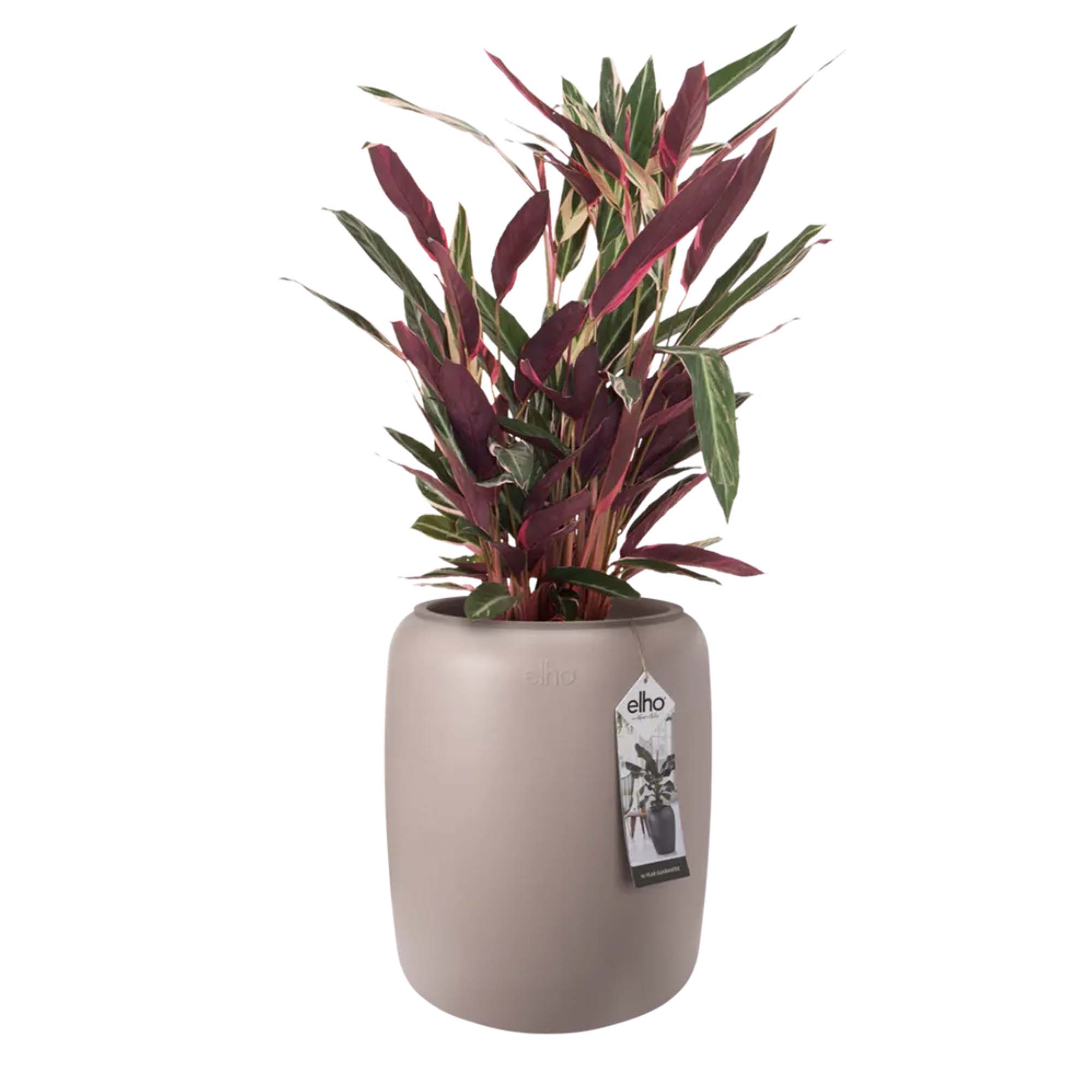 21463c07882f7a89caa1f22ec5eb59d9