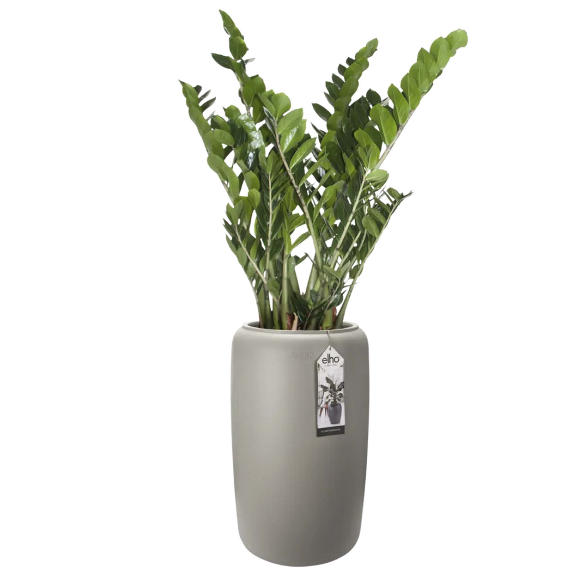 d0421f25739384cc85b614710445796a