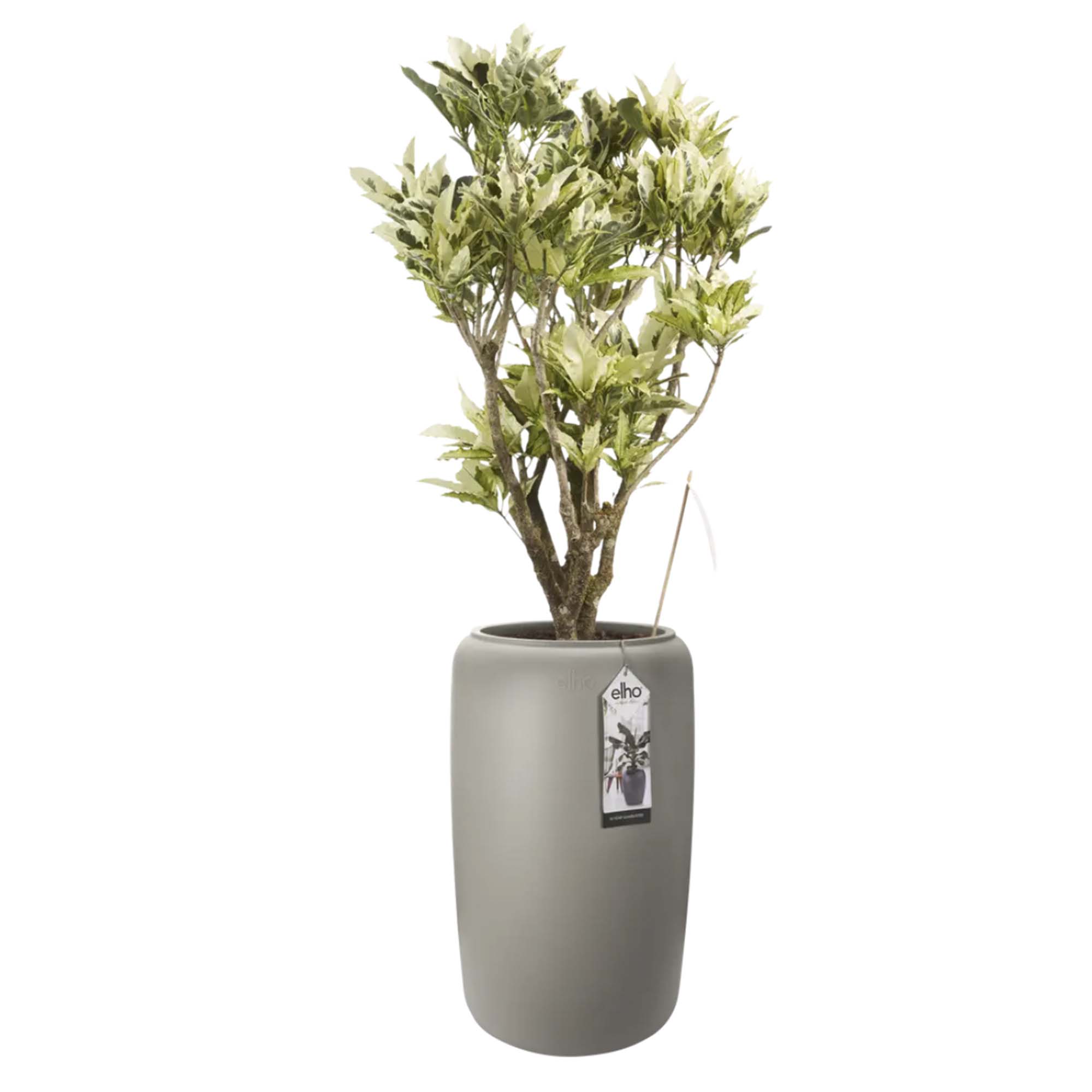 cf06ac65c17fb254522b4b87d4b2cb96