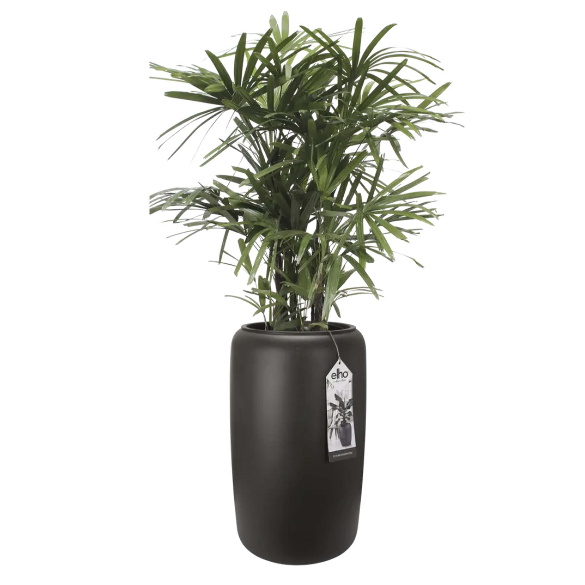 97f7511dd9c178255d5f3a700ade6b43