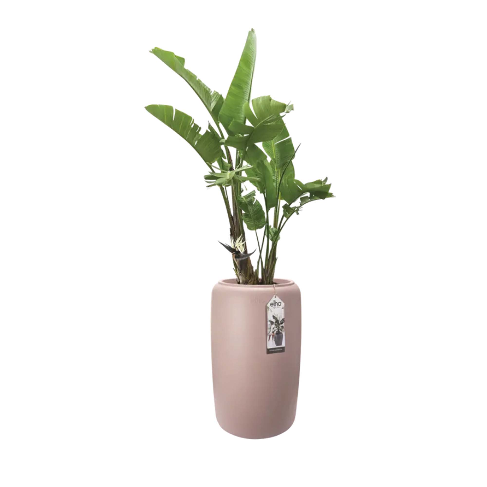 061294b5bb58dbc20236d86595aa920a