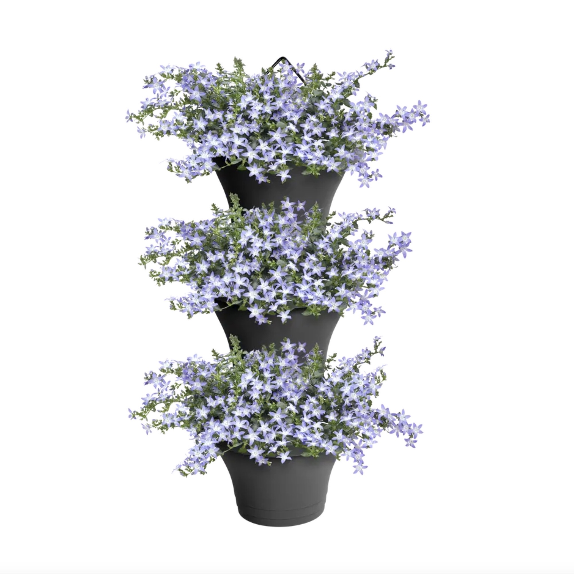 099f7ad95be9ed8999056e7be8f71c8a