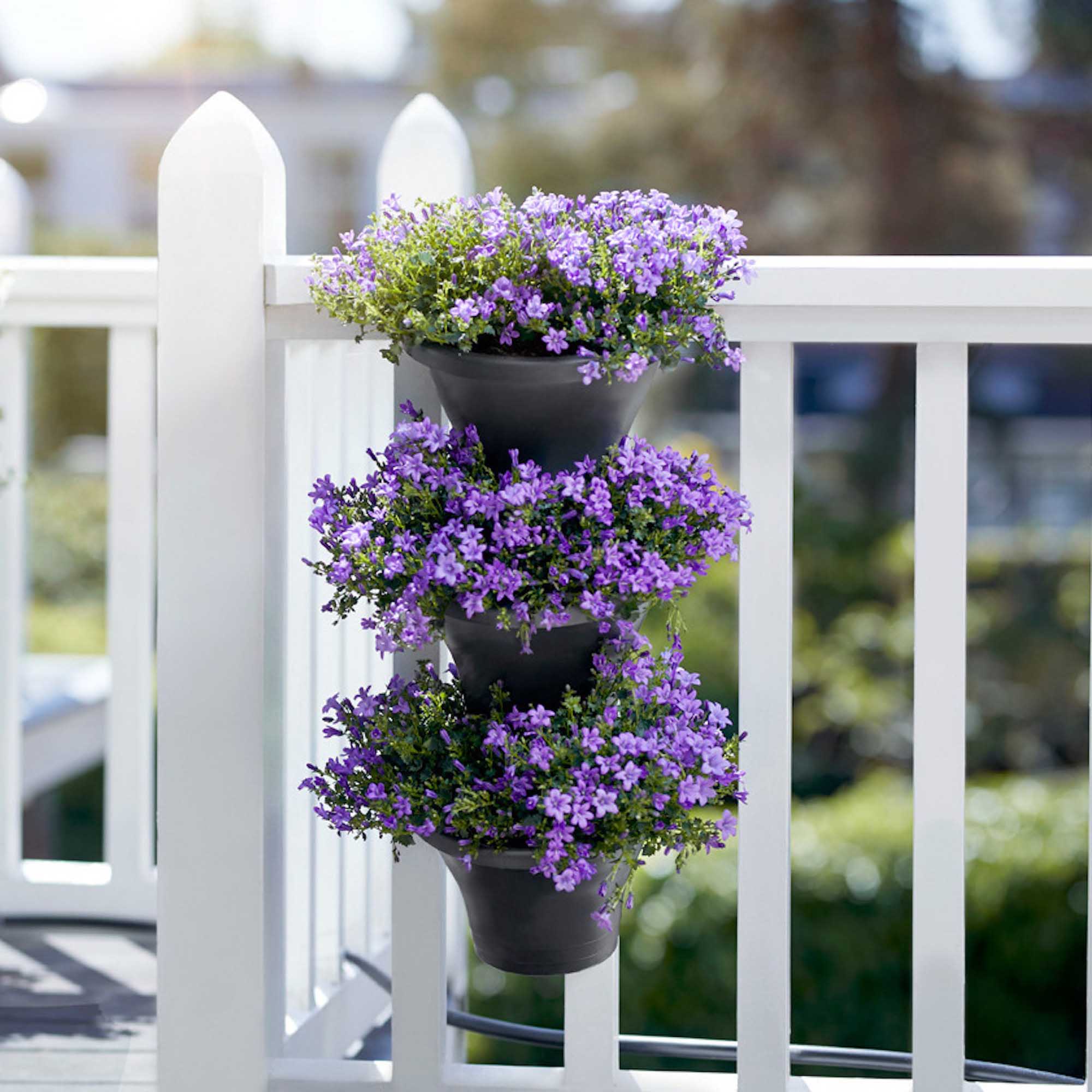 8f431a96f188bebe3994431cd958b9f2