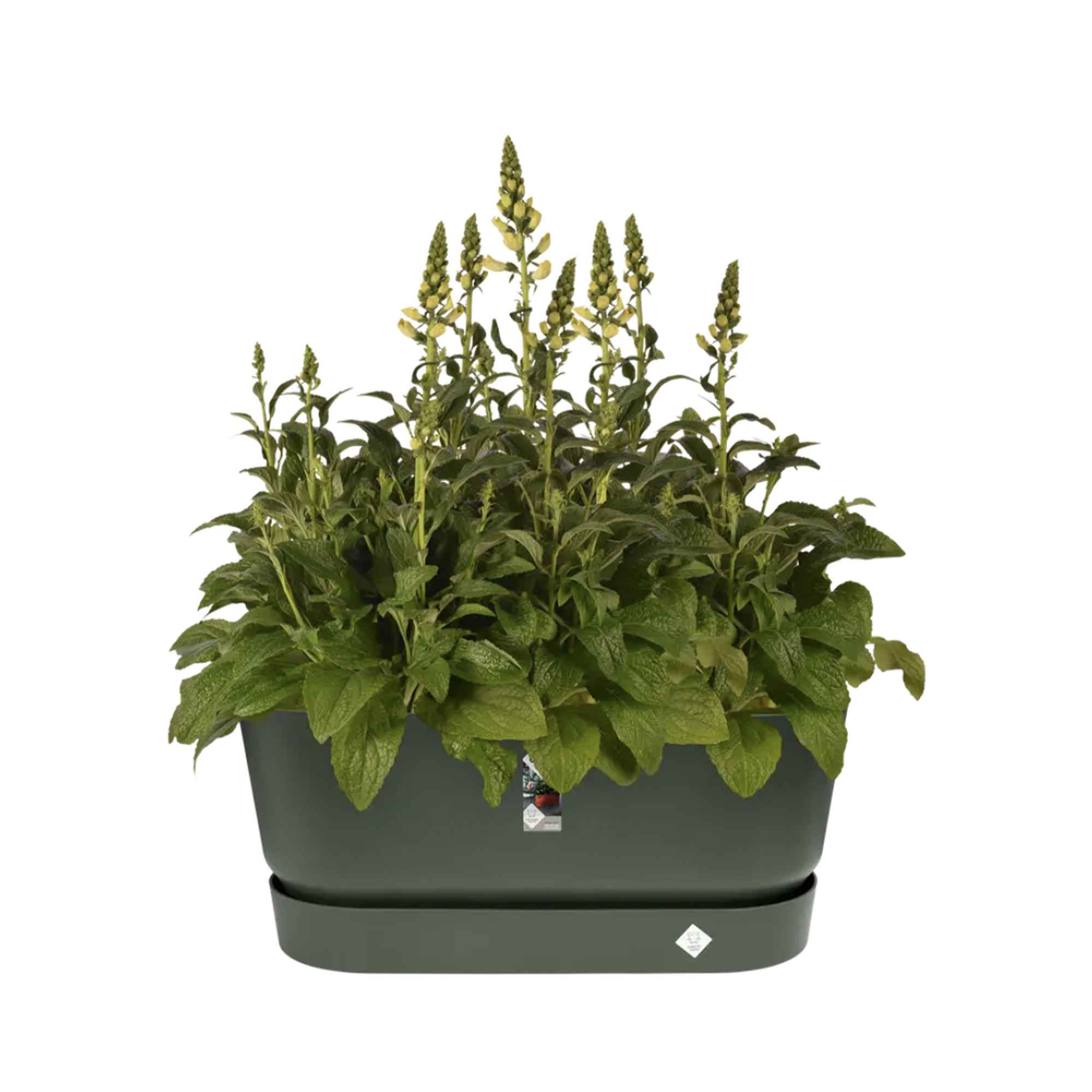 e30c92d9e0431a799aa2c44a8afaa816