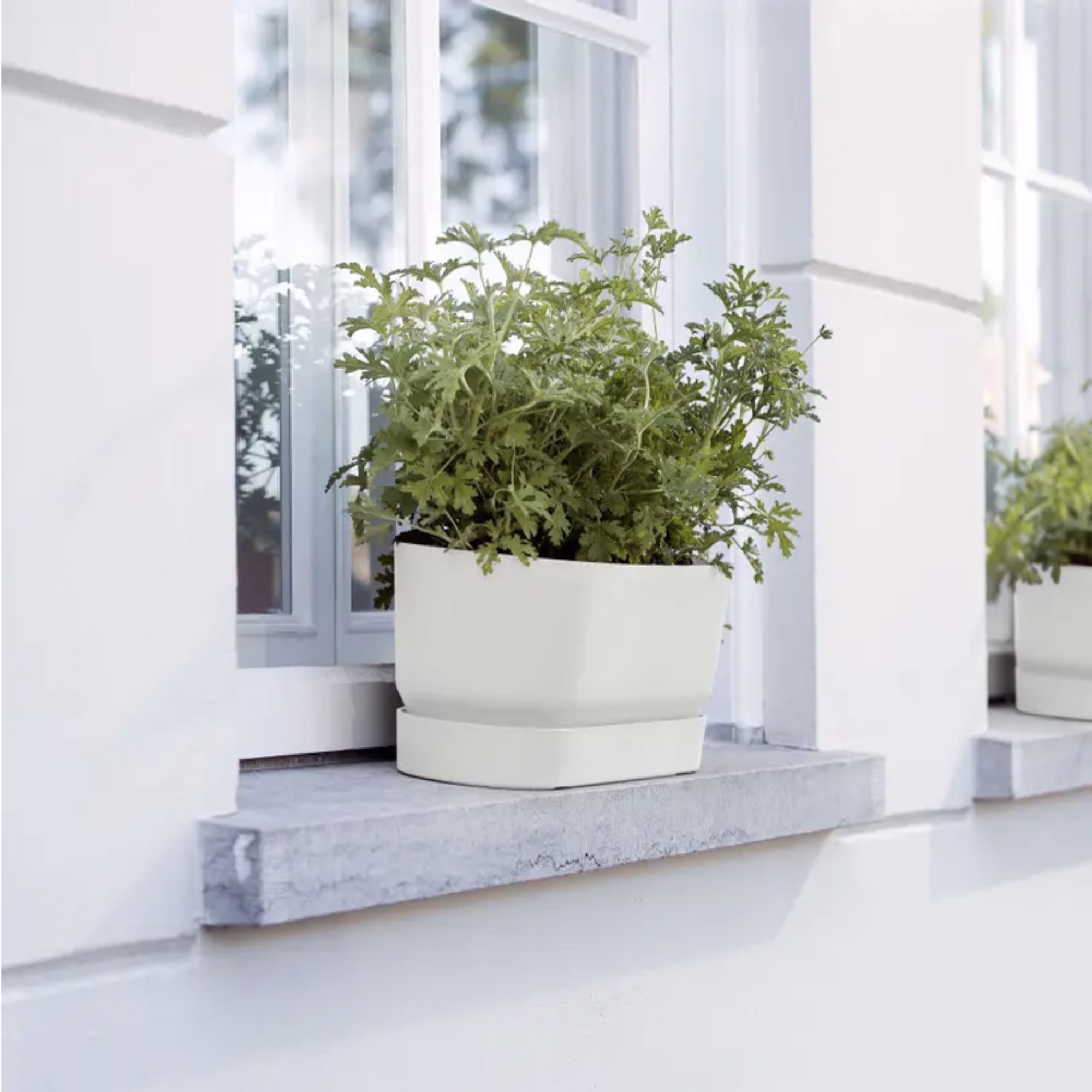 baf3f66c31973eb962d76e661b3e117c