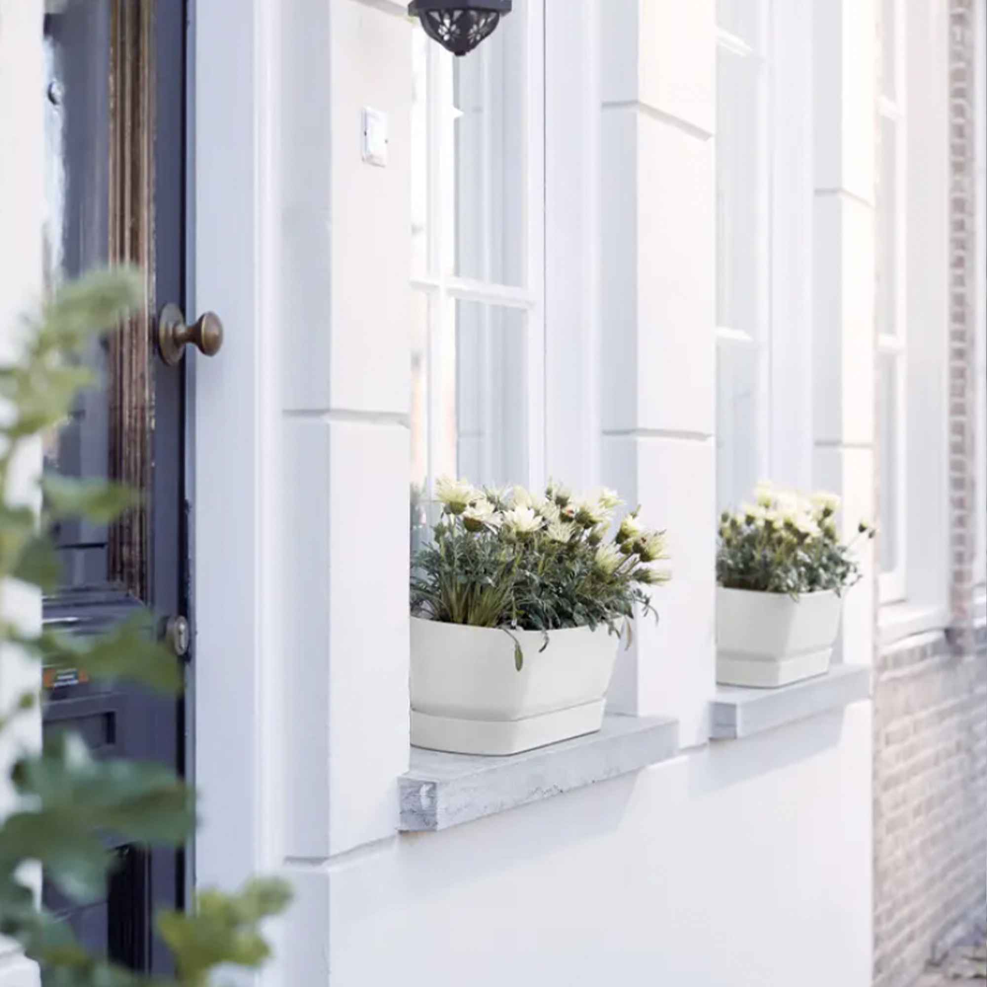 b905041cd5e53f5ef1142b4d77963a4d