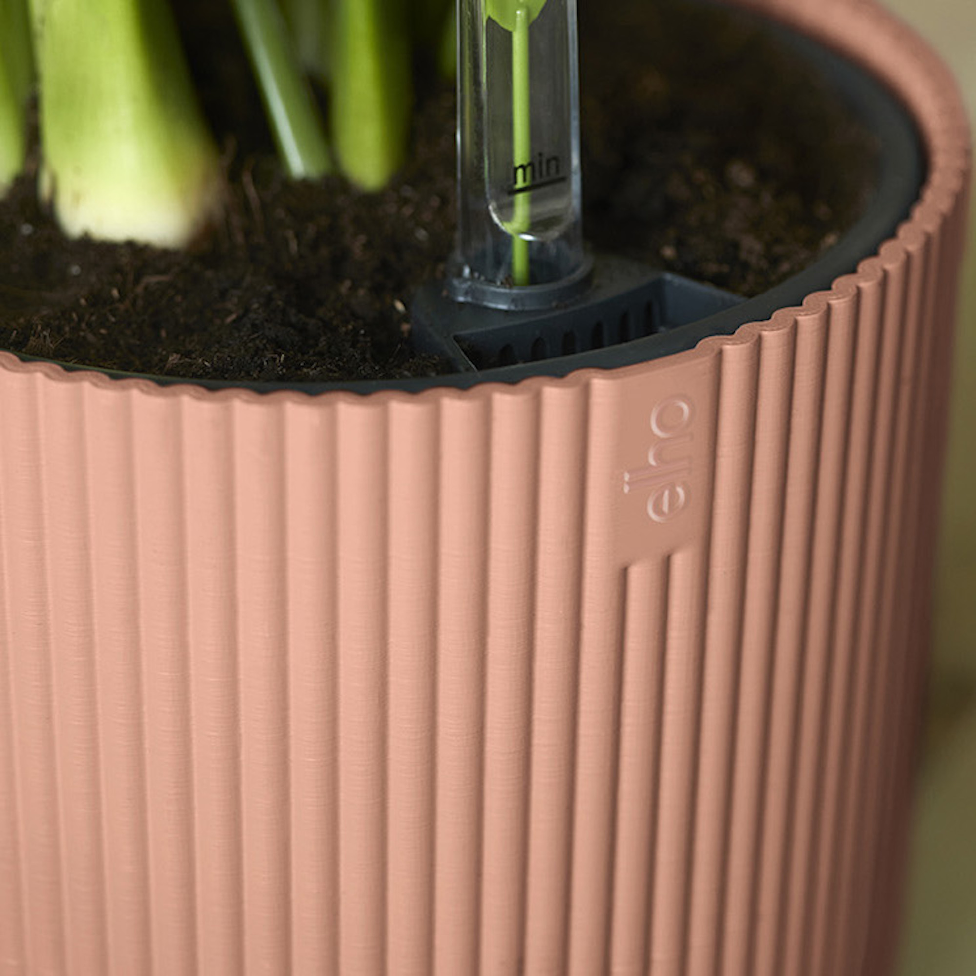 6c4fdabcb8bc13bf2cf24e1fc89b7d2a