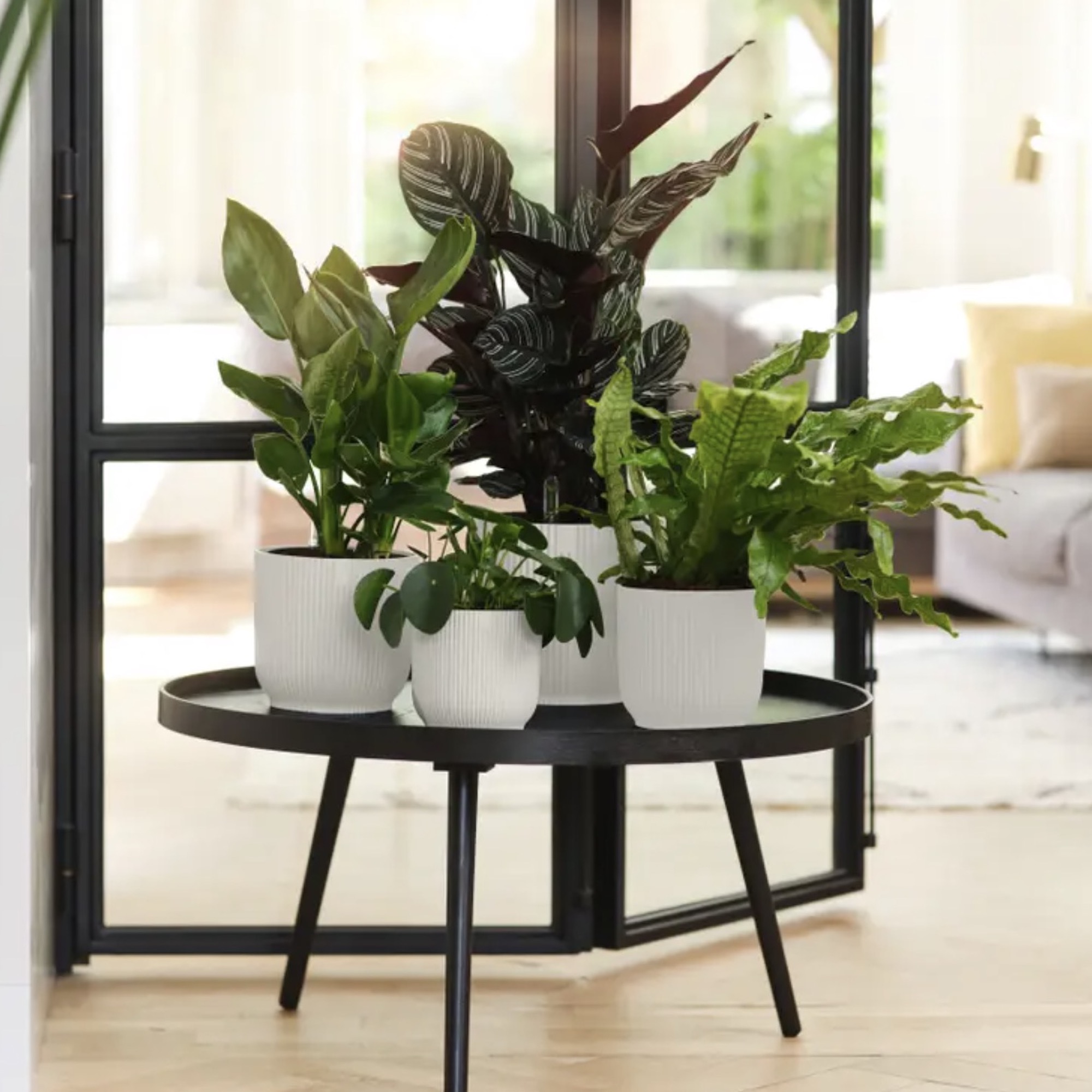 5cd6753ffe7929dd1b4e7f179c48a818