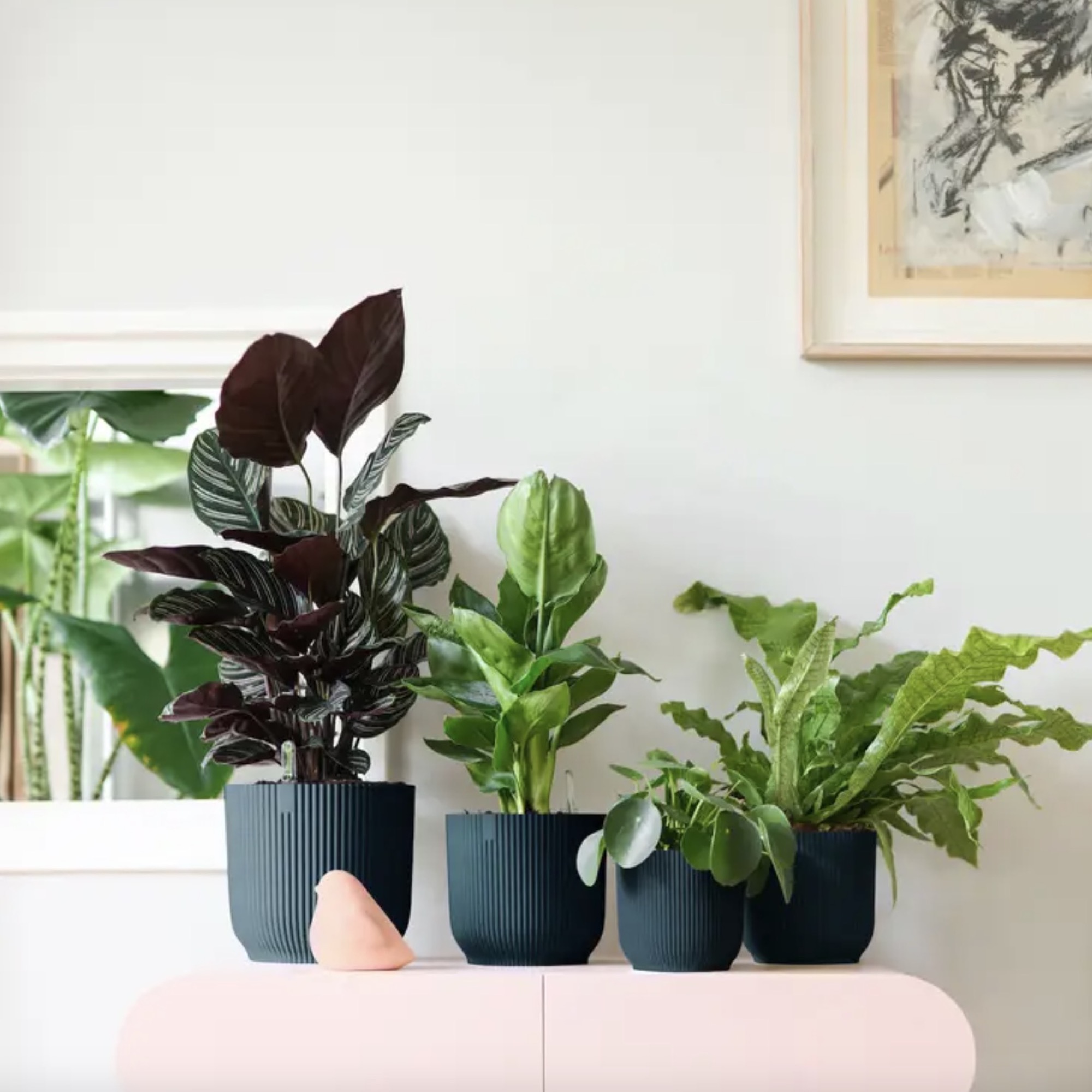 adacf0d79b262cb920bdde2889c8f8b0