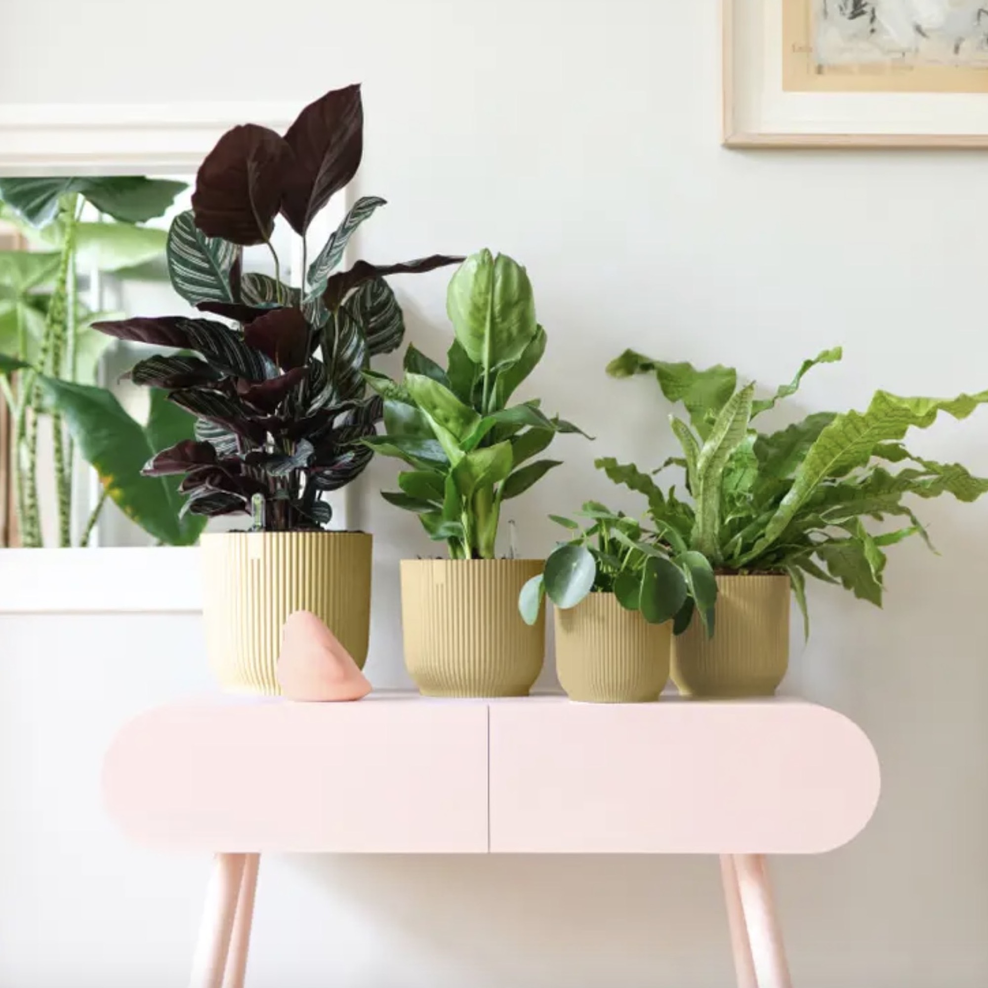 29a6f66272050b37ddeda0cc3528c8a7