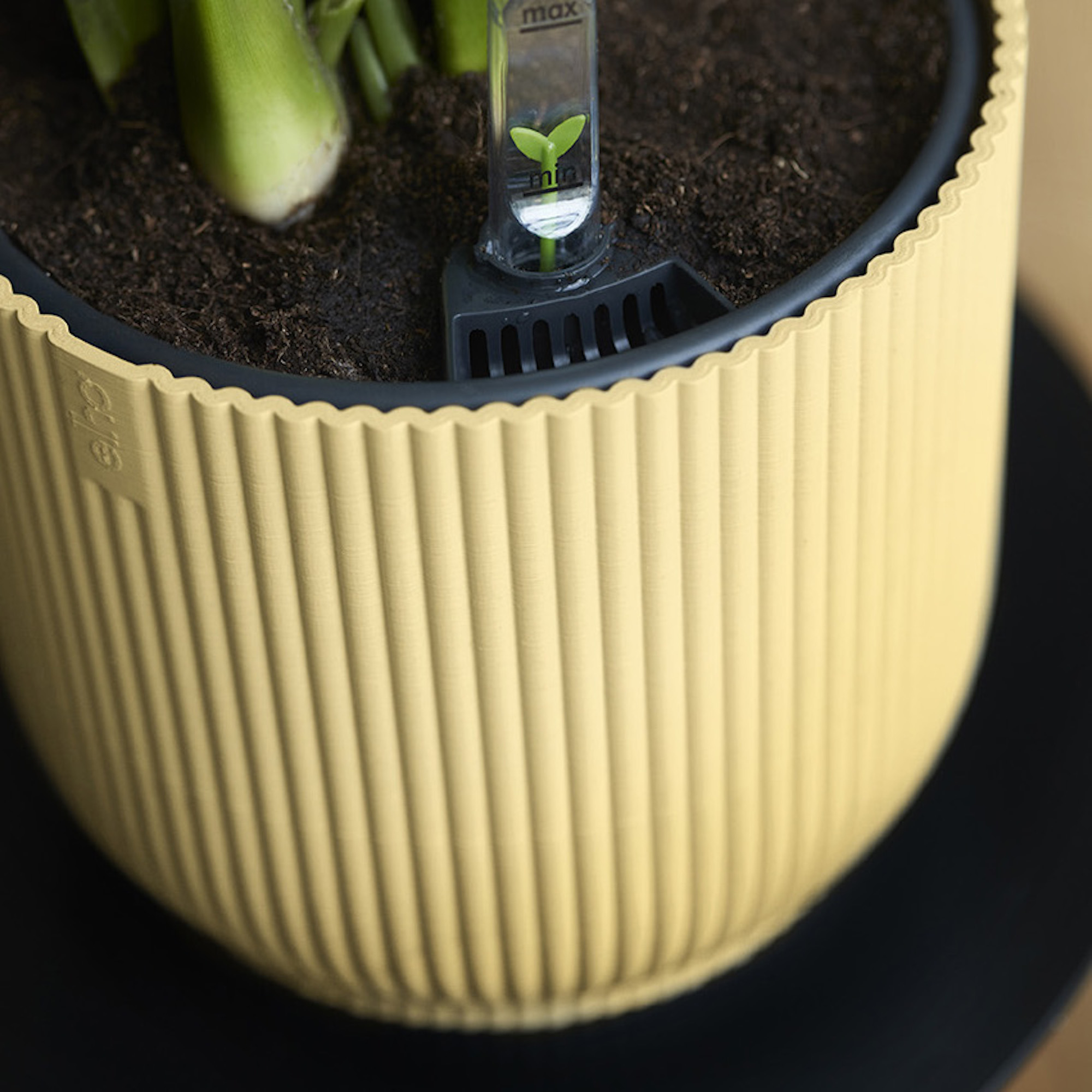 6771d1baeccea44db8c53e4549793ca2