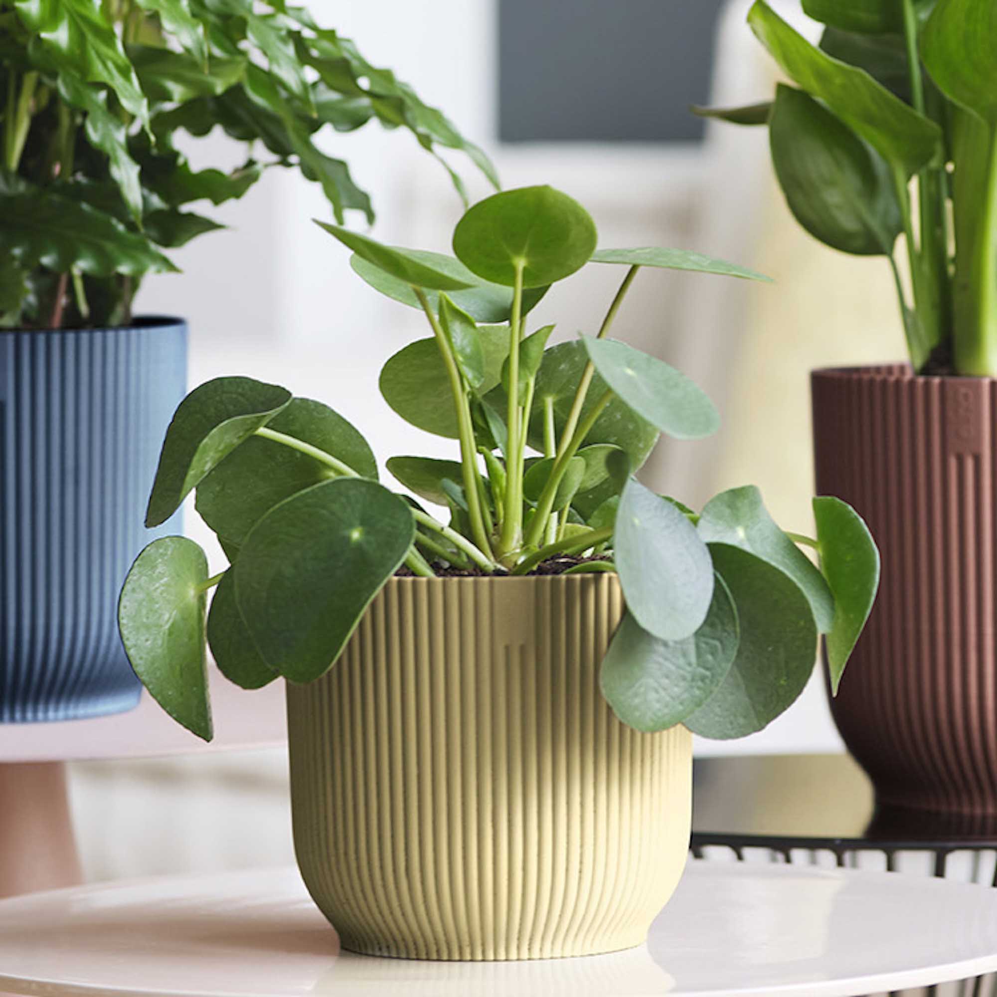 1cce4dbad93dee43b9263986c2695956