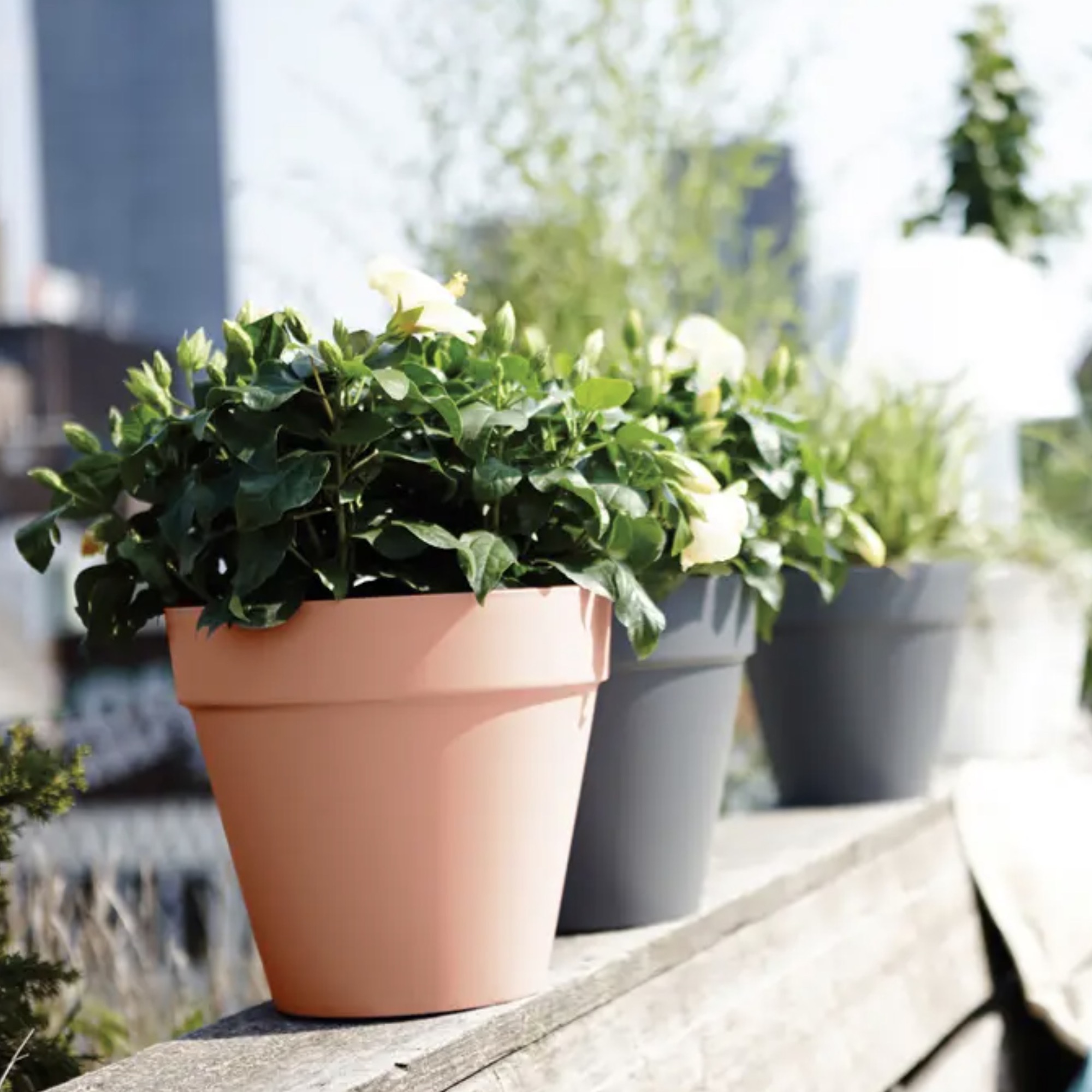 26ba9f3b96bfab9b6ee8bacc7611ce16